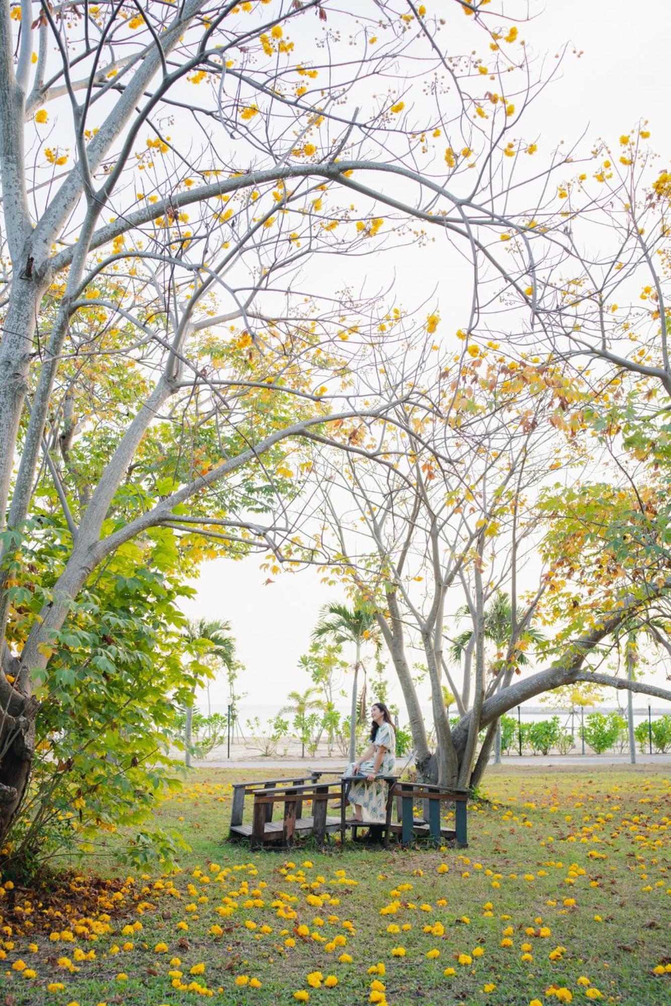 Resort Bann Pae And Klaeng