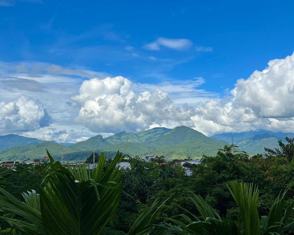Cocoa Valley