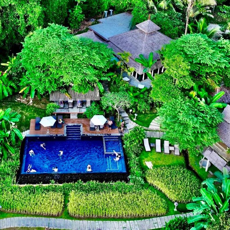 Fern Resort
