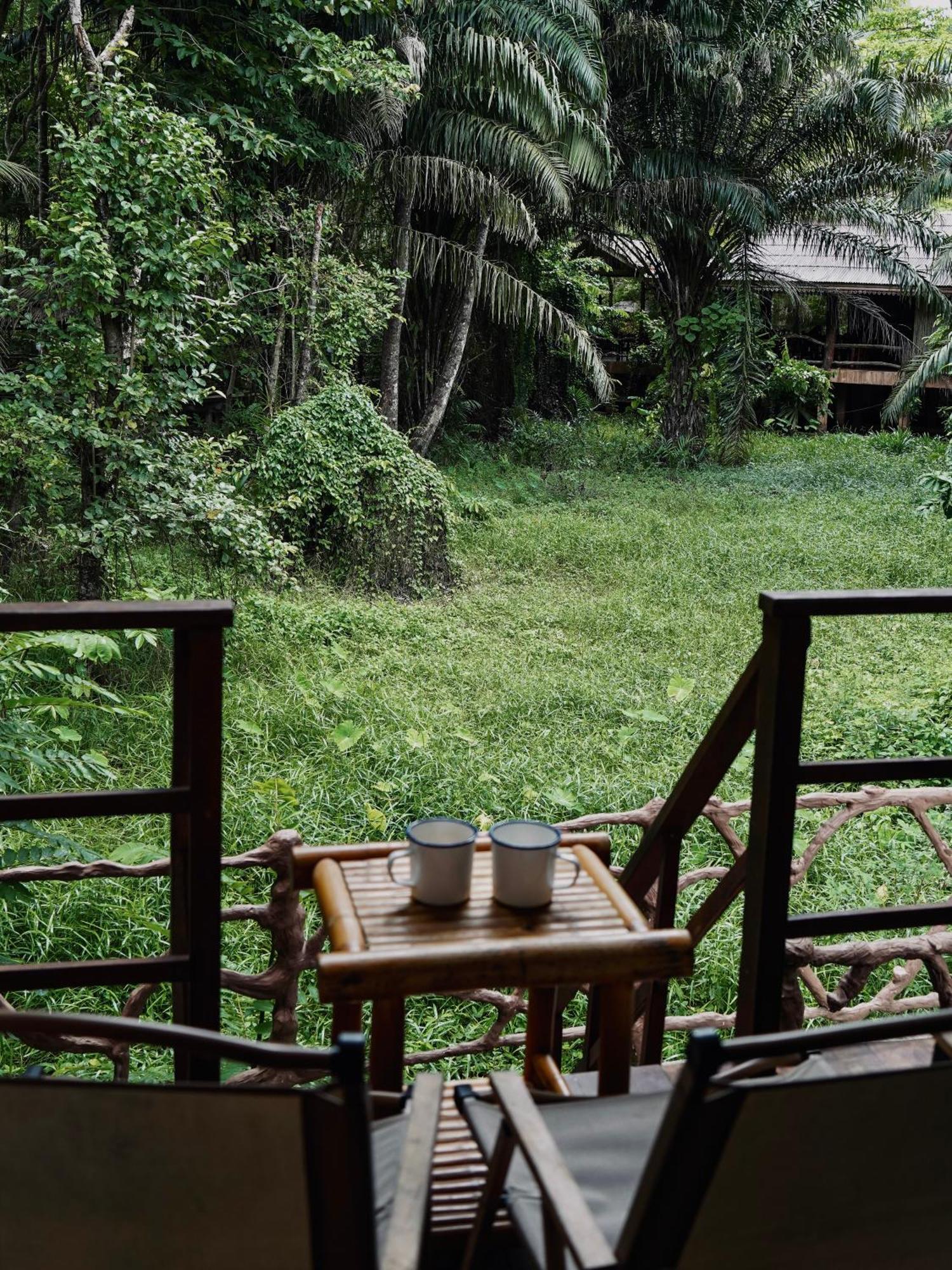 Khao Sok Paradise Khao Sok National Park