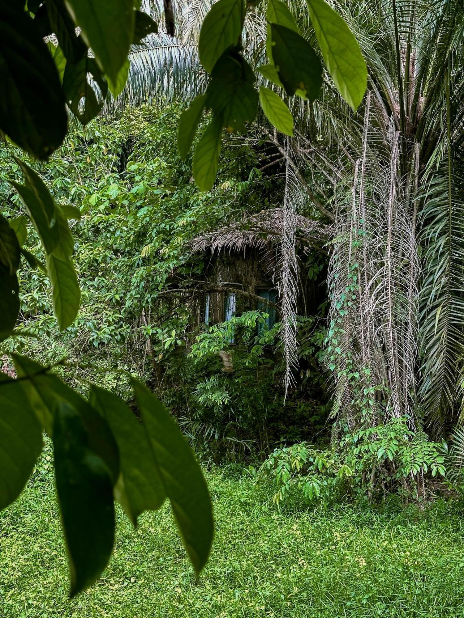 Khao Sok Paradise