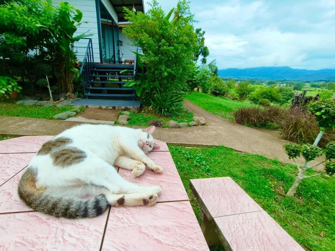 นะลาวิว Nala View Pua