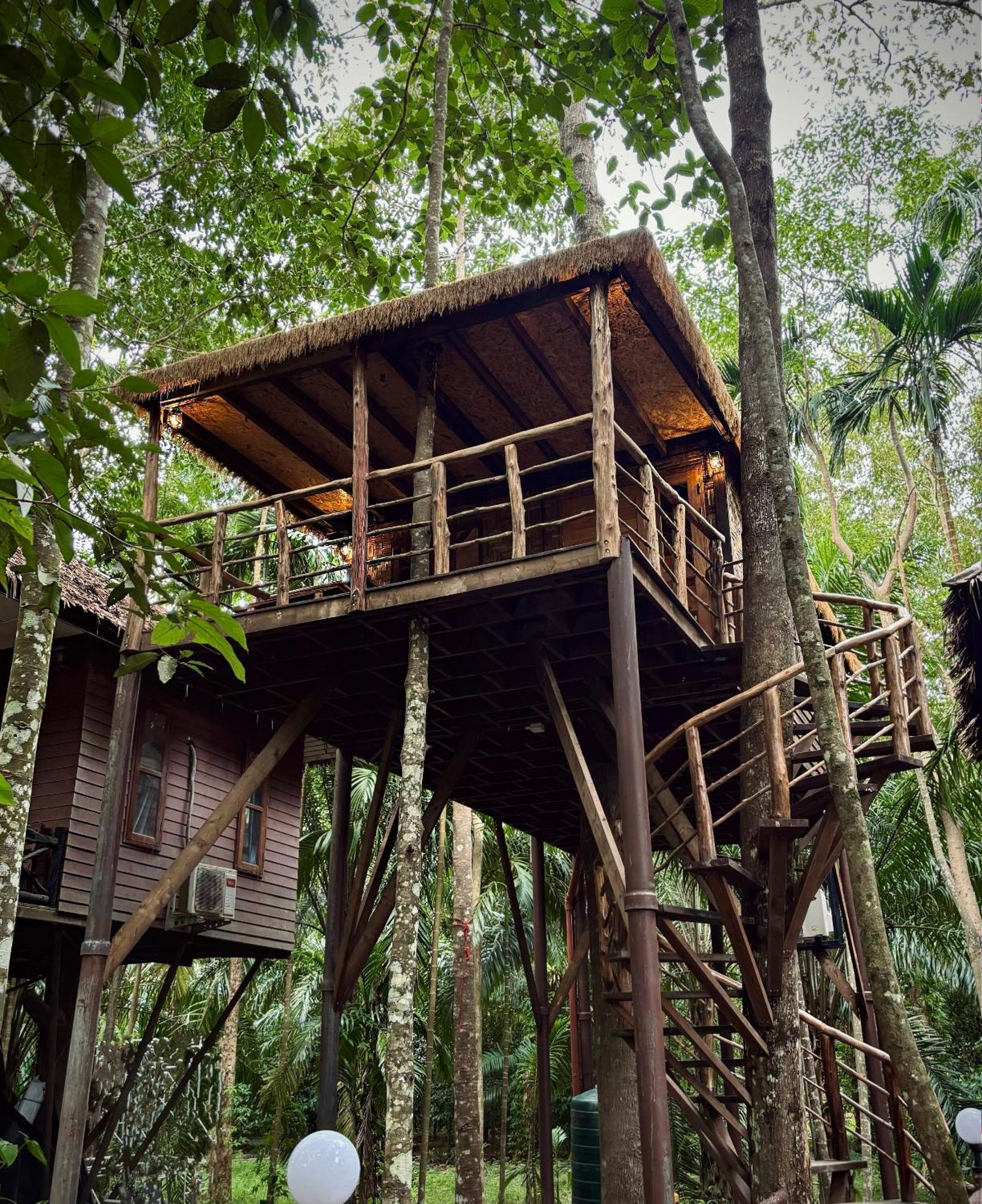 Resort Khao Sok Paradise 3*
