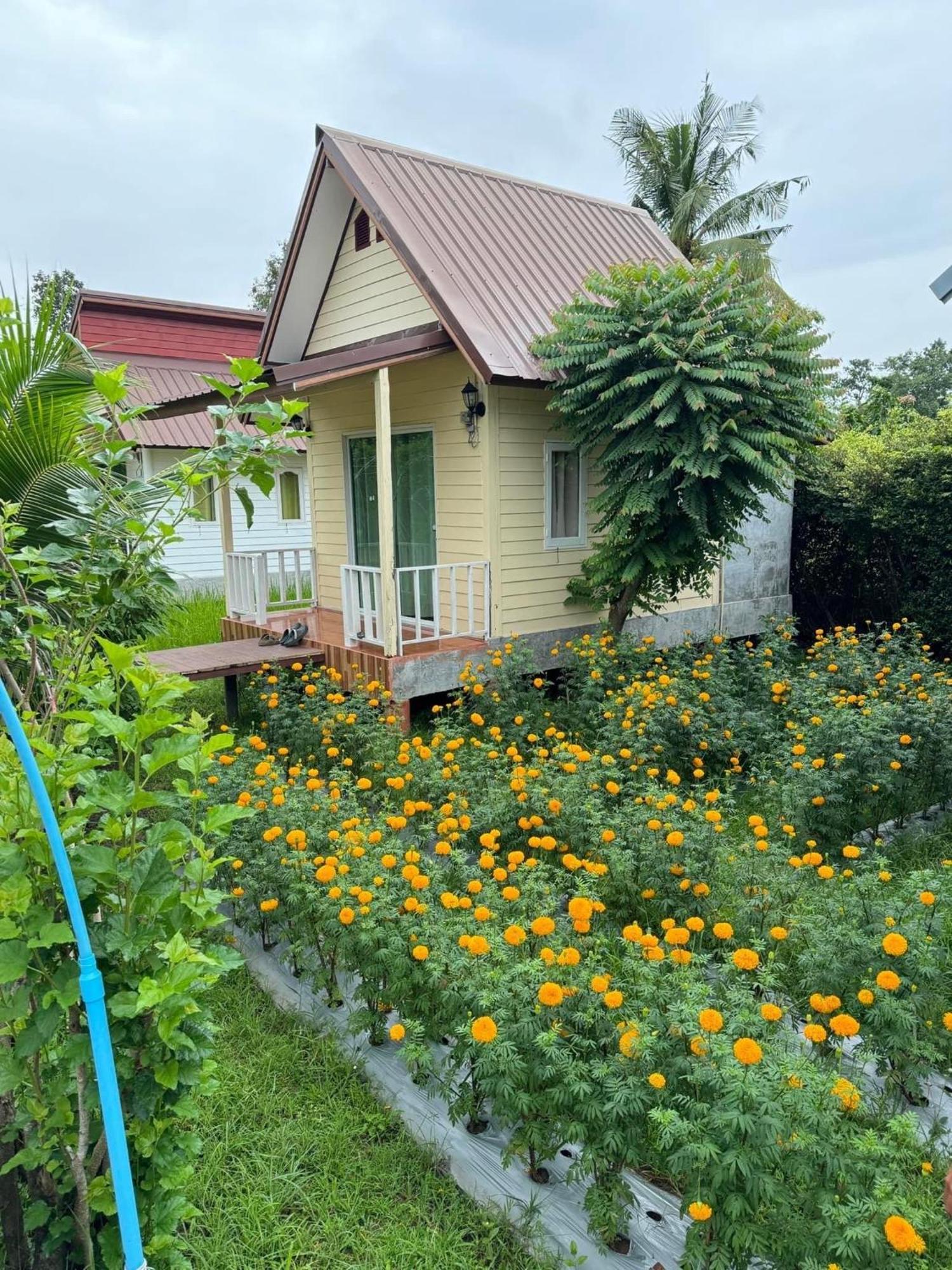 Baan Thung Resort
