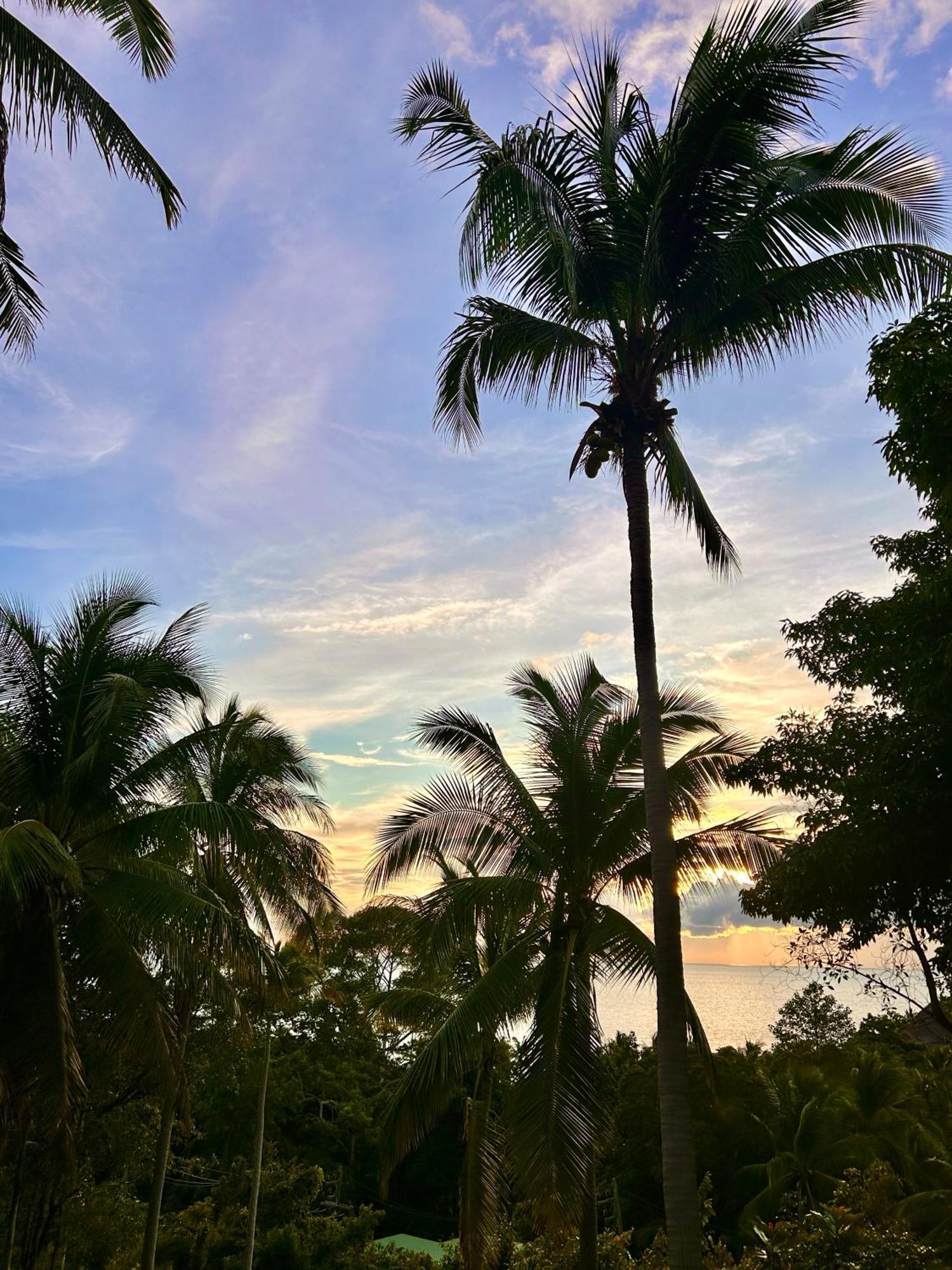 Kalani,