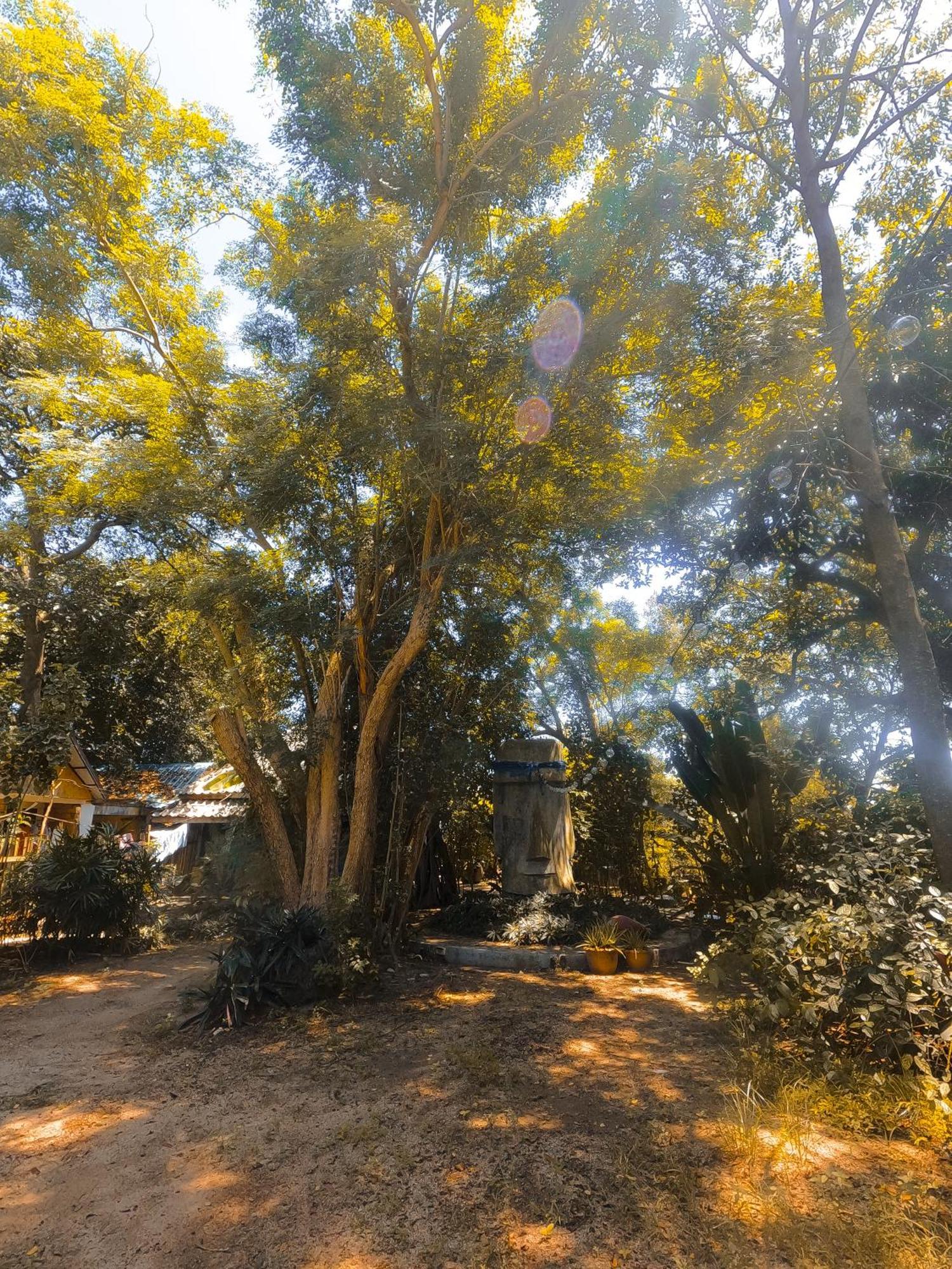 Moov Garden Hostel *