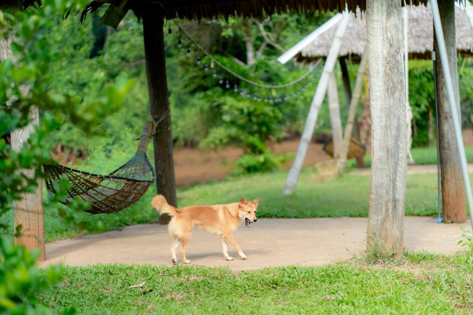 Chiewlan Camp And 2* Ban Pha Saeng Lang