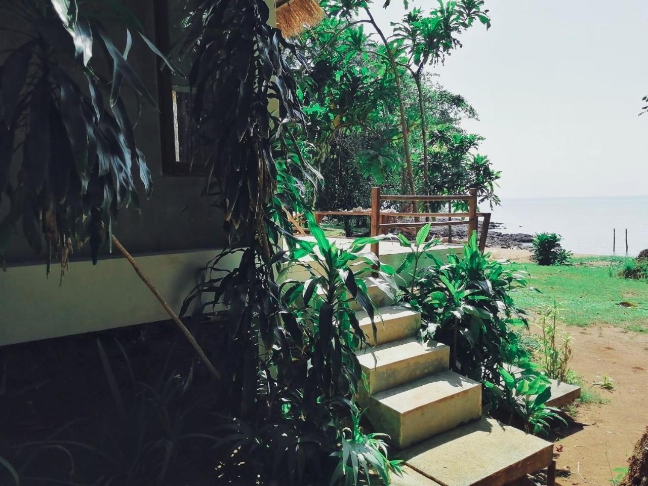 Allure Resort
