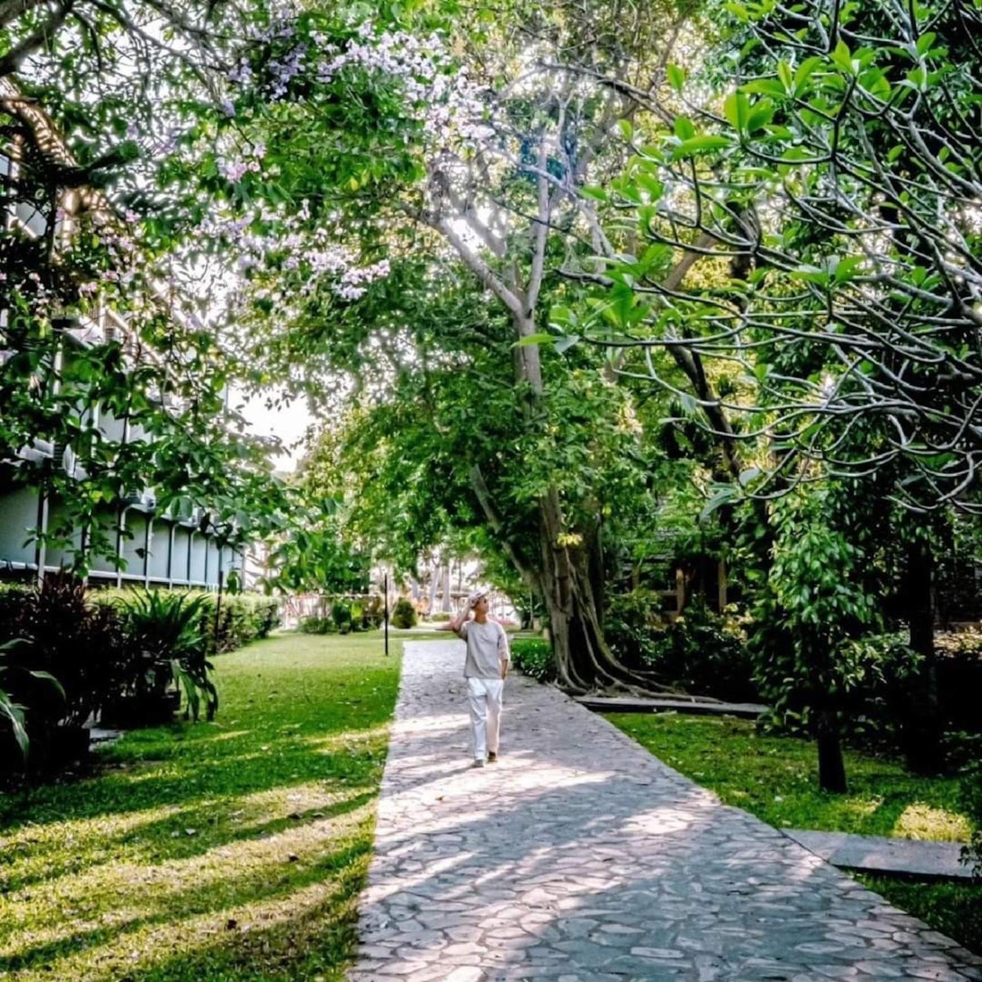 Botany Pattaya