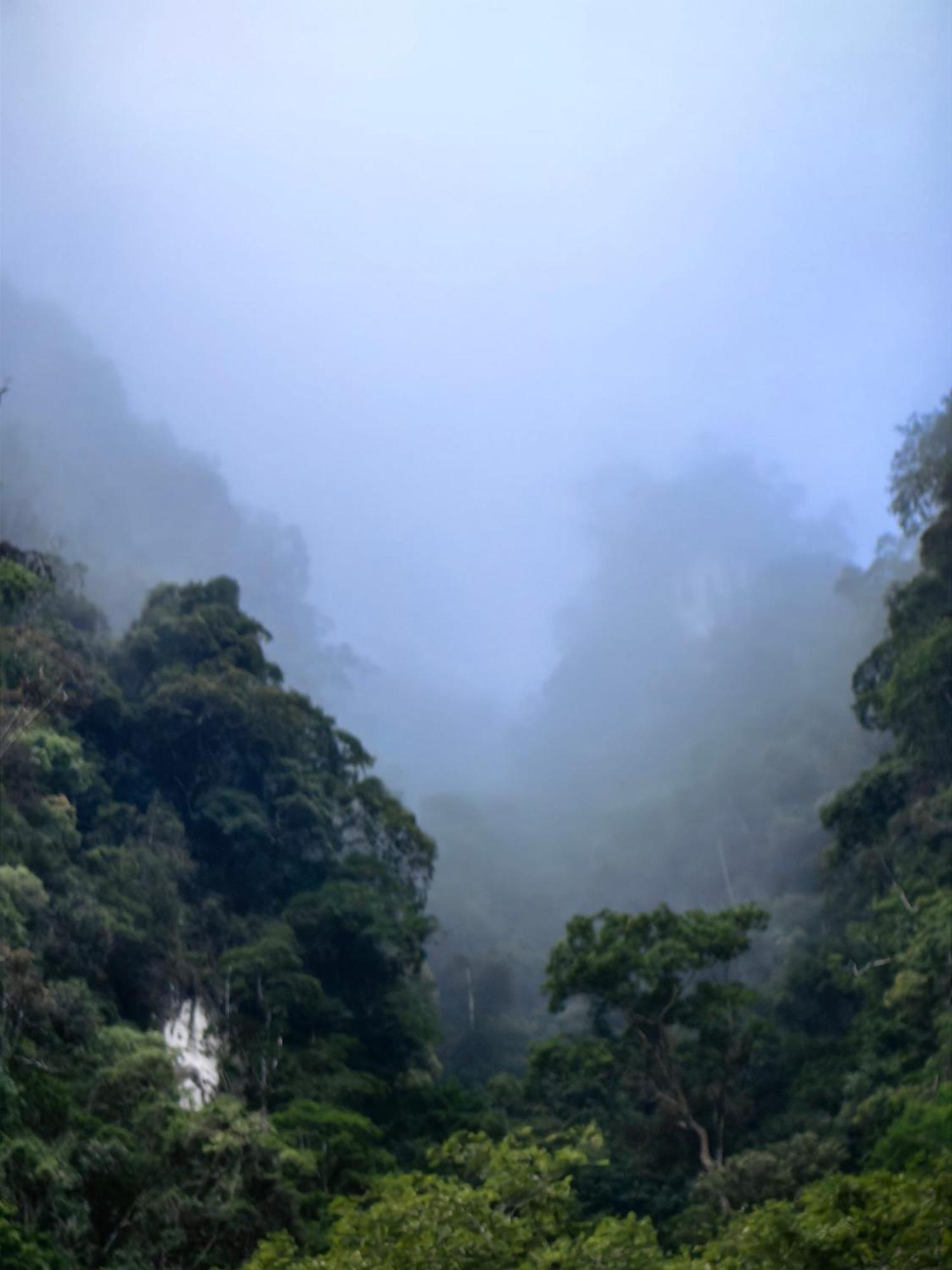 Hotel Khao Sok Country