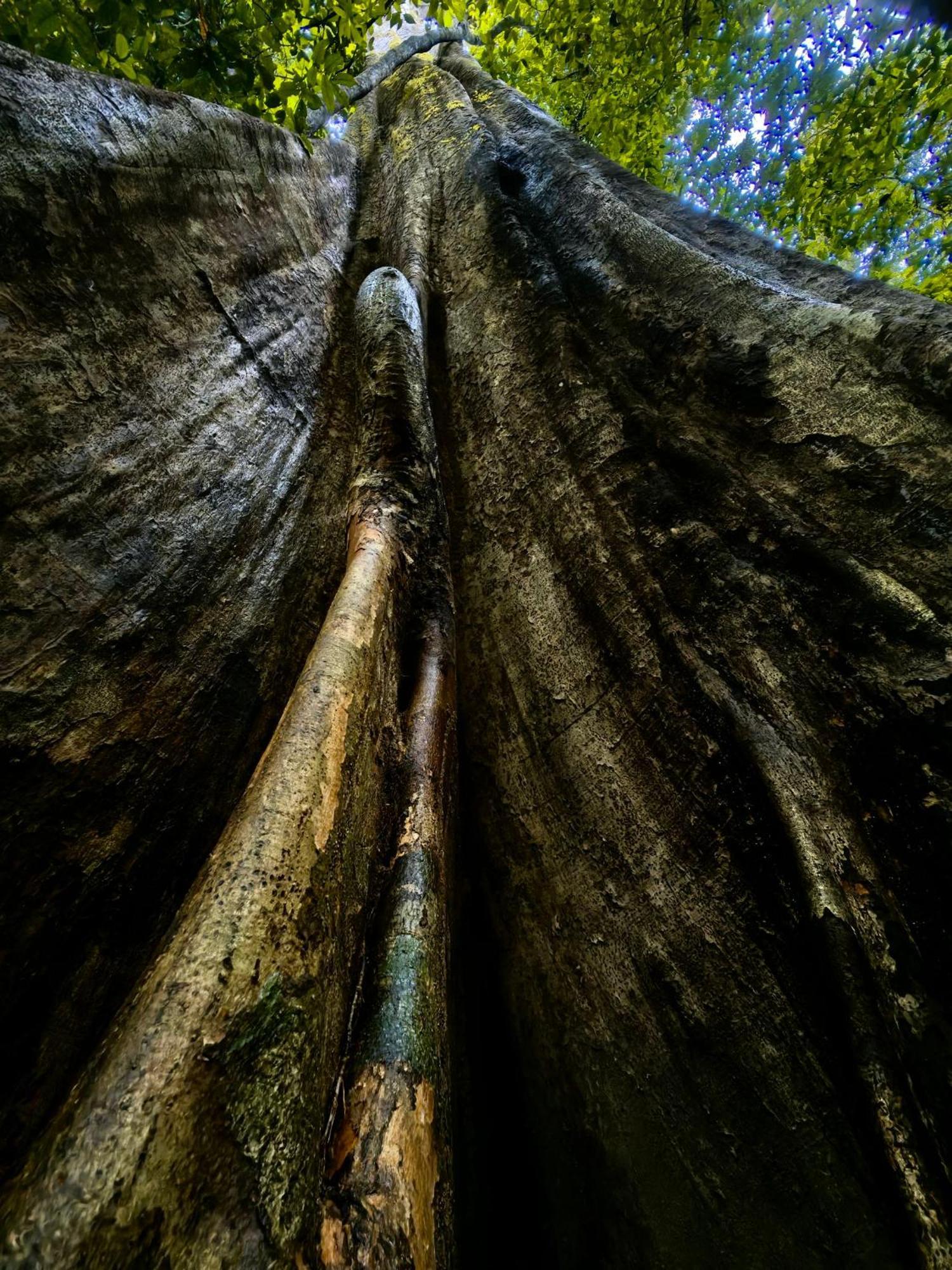 Khao Sok Country 2*