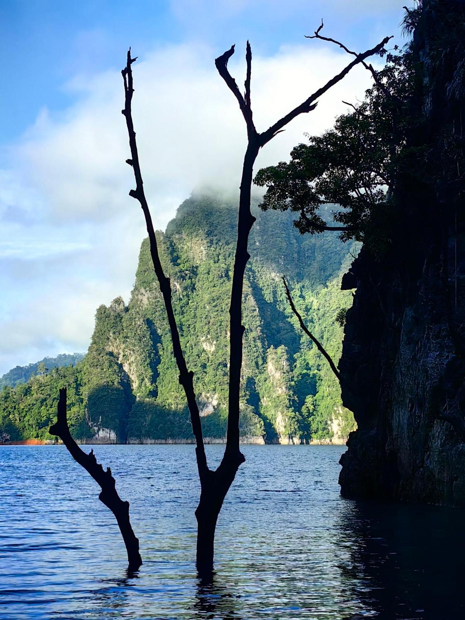Khao Sok Country