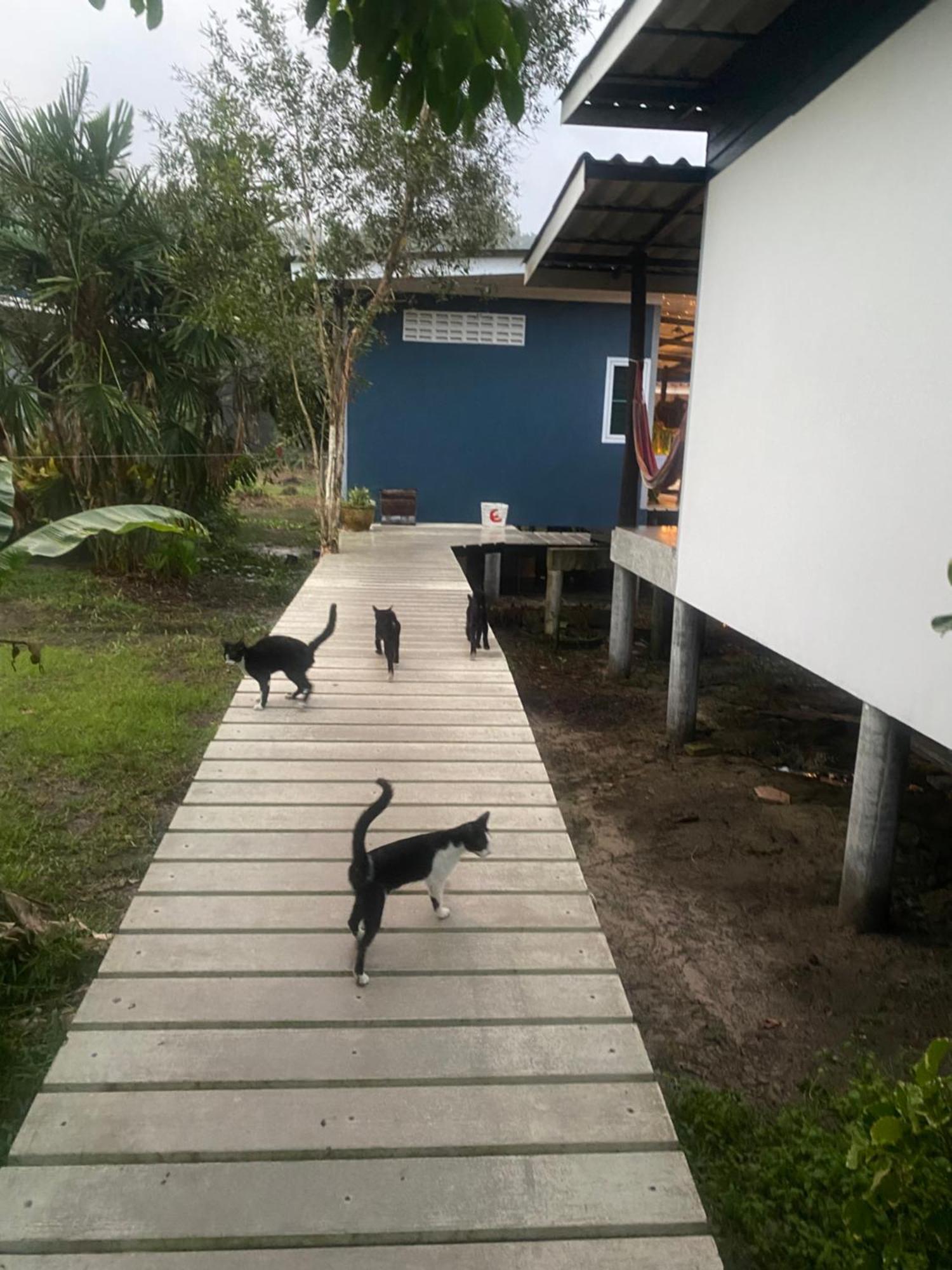 Pd Guest house 2*