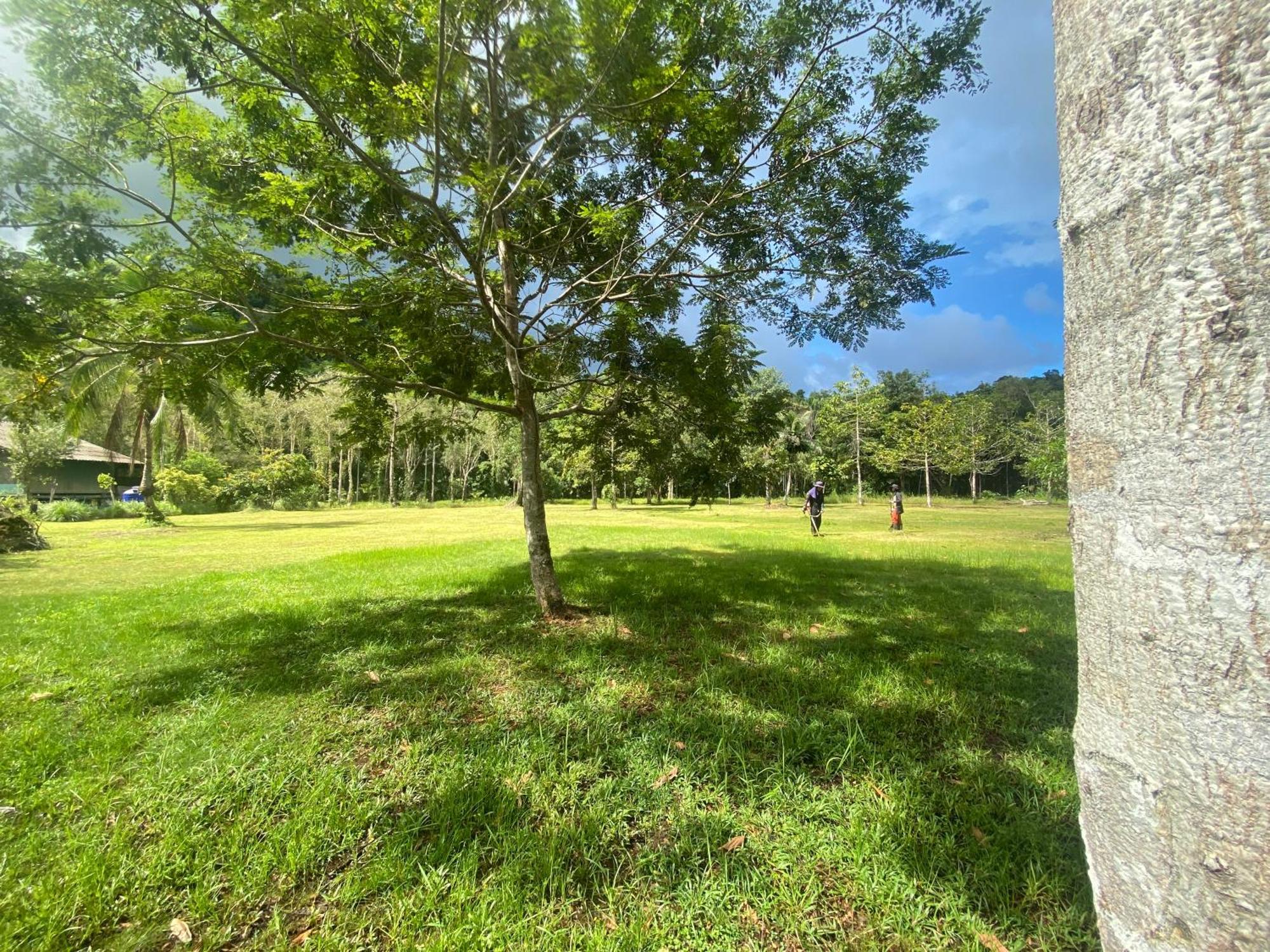 Pd Ko Kut