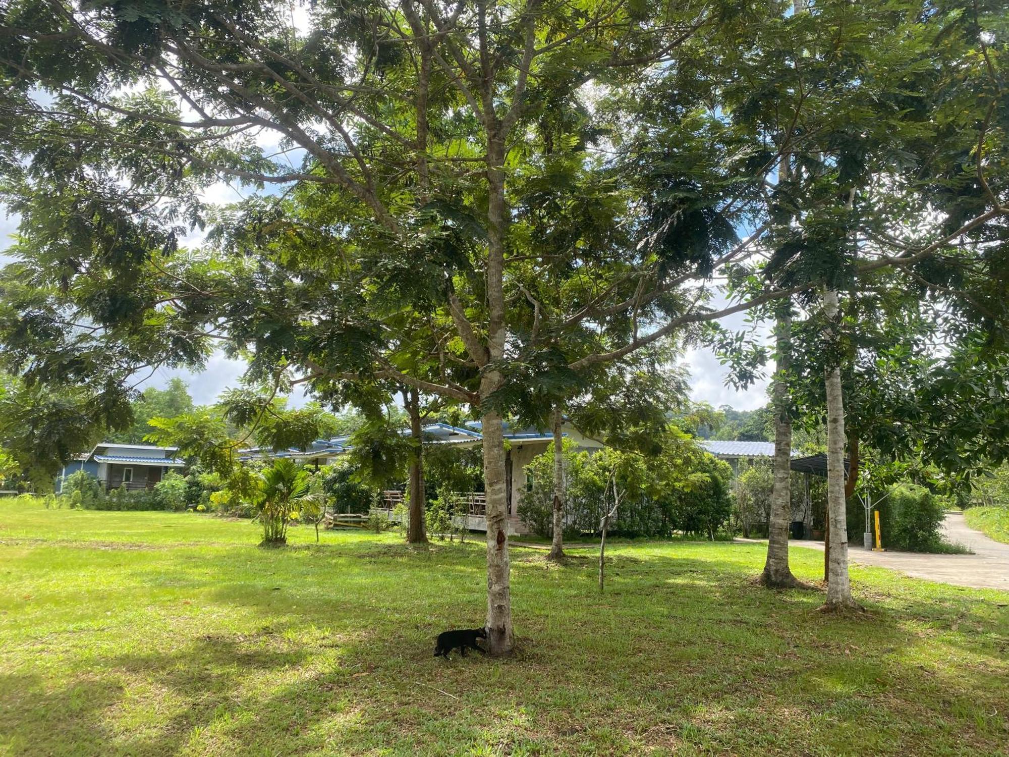 Pd Guest house Ko Kut