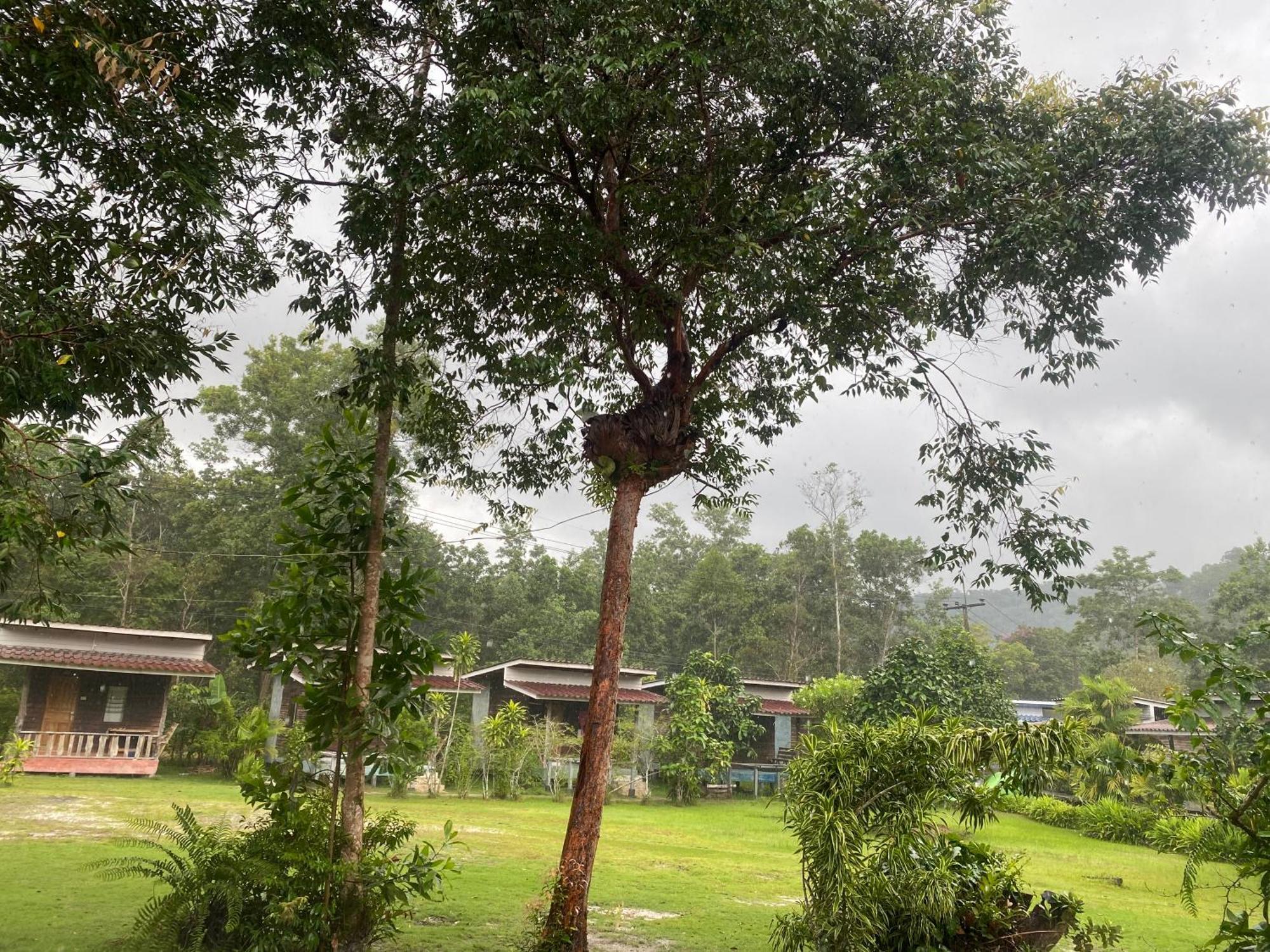 Guest house Pd Ko Kut