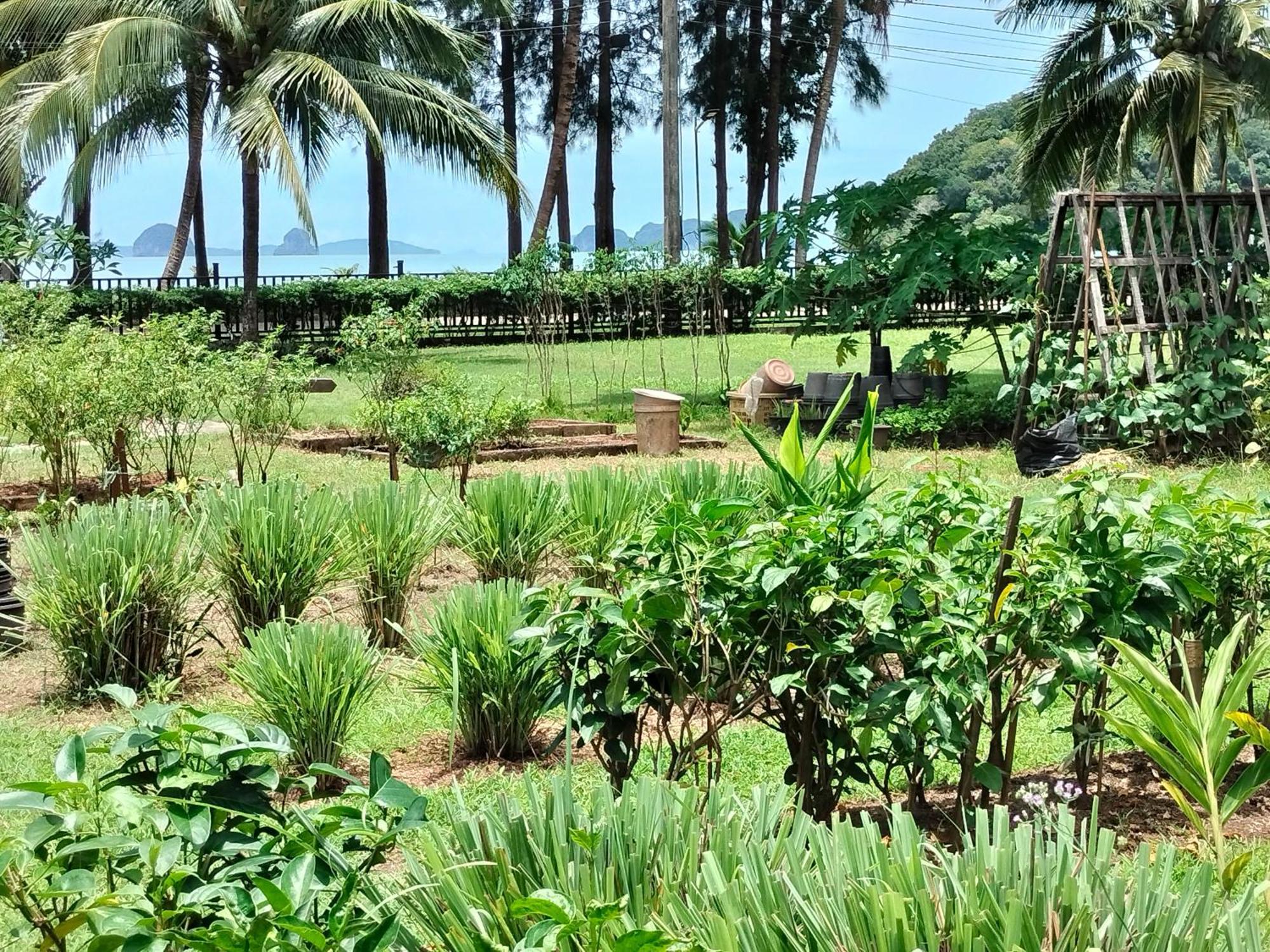 Resort Suntisook 2*