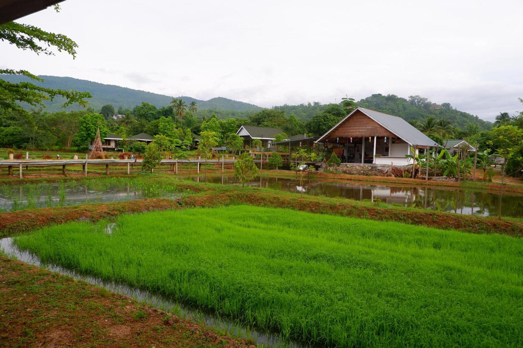 Resort Nok Chan Mee Na Chom Thong