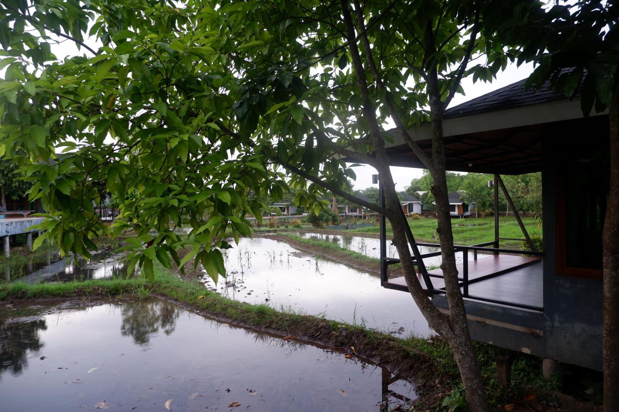 Nok Chan Mee Na Resort