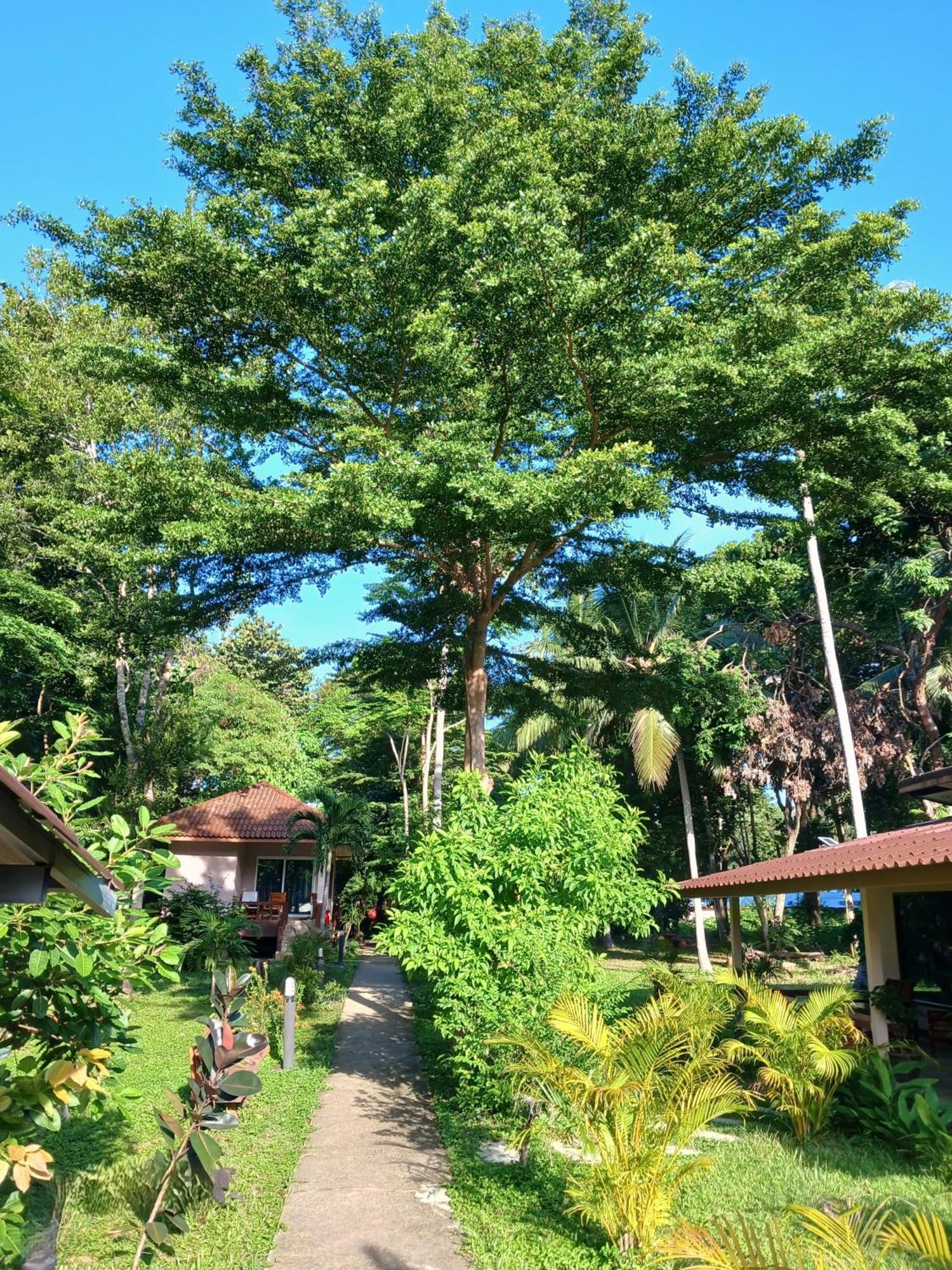 Baan Long Lodge