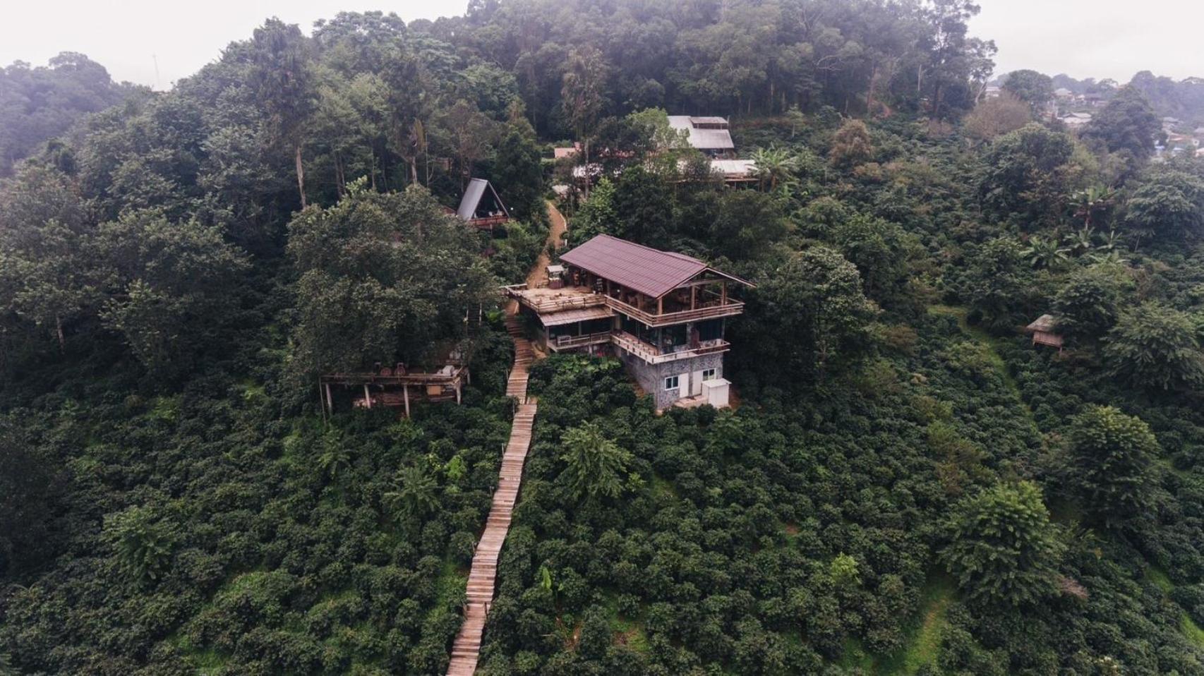 Ma Family Coffee Farm ไร่กาแฟครอบครัวมะ