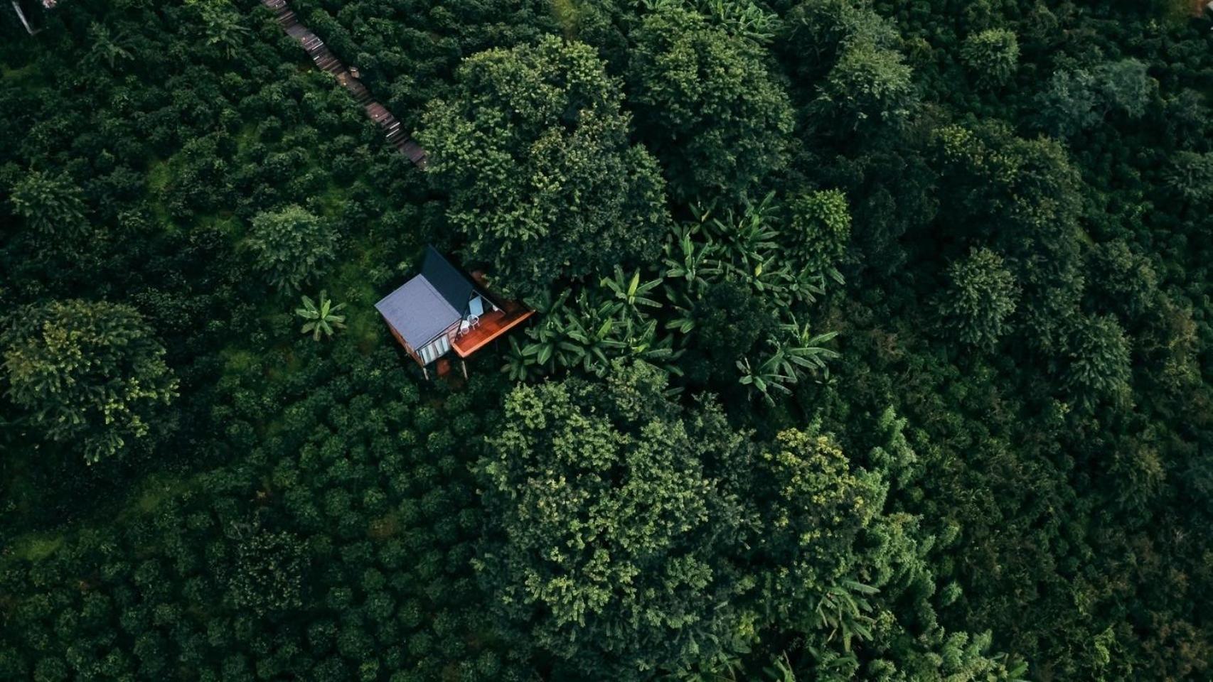 Ma Family Coffee Farm ไร่กาแฟครอบครัวมะ