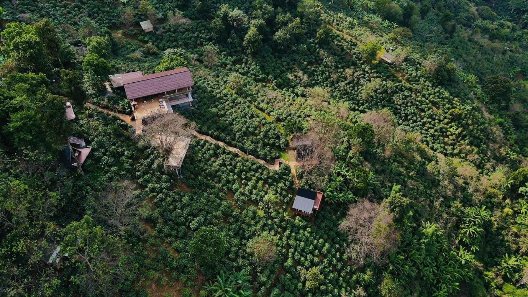 Ma Family Coffee Farm ไร่กาแฟครอบครัวมะ Farm stay *