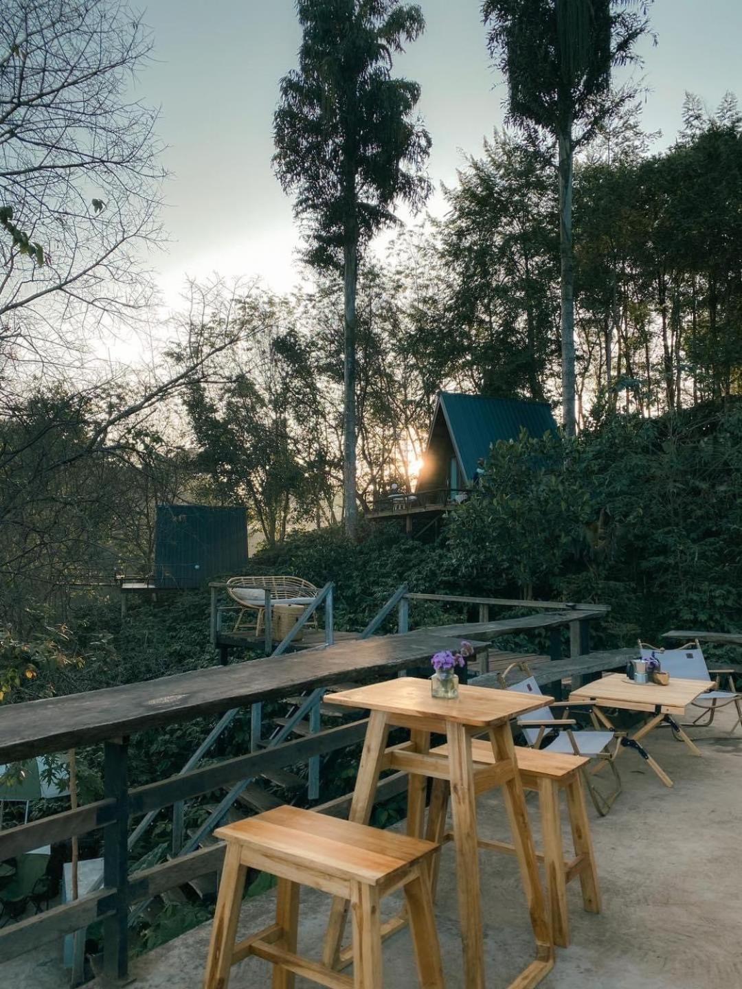 Ma Family Coffee Farm ไร่กาแฟครอบครัวมะ Farm stay Chiang Rai