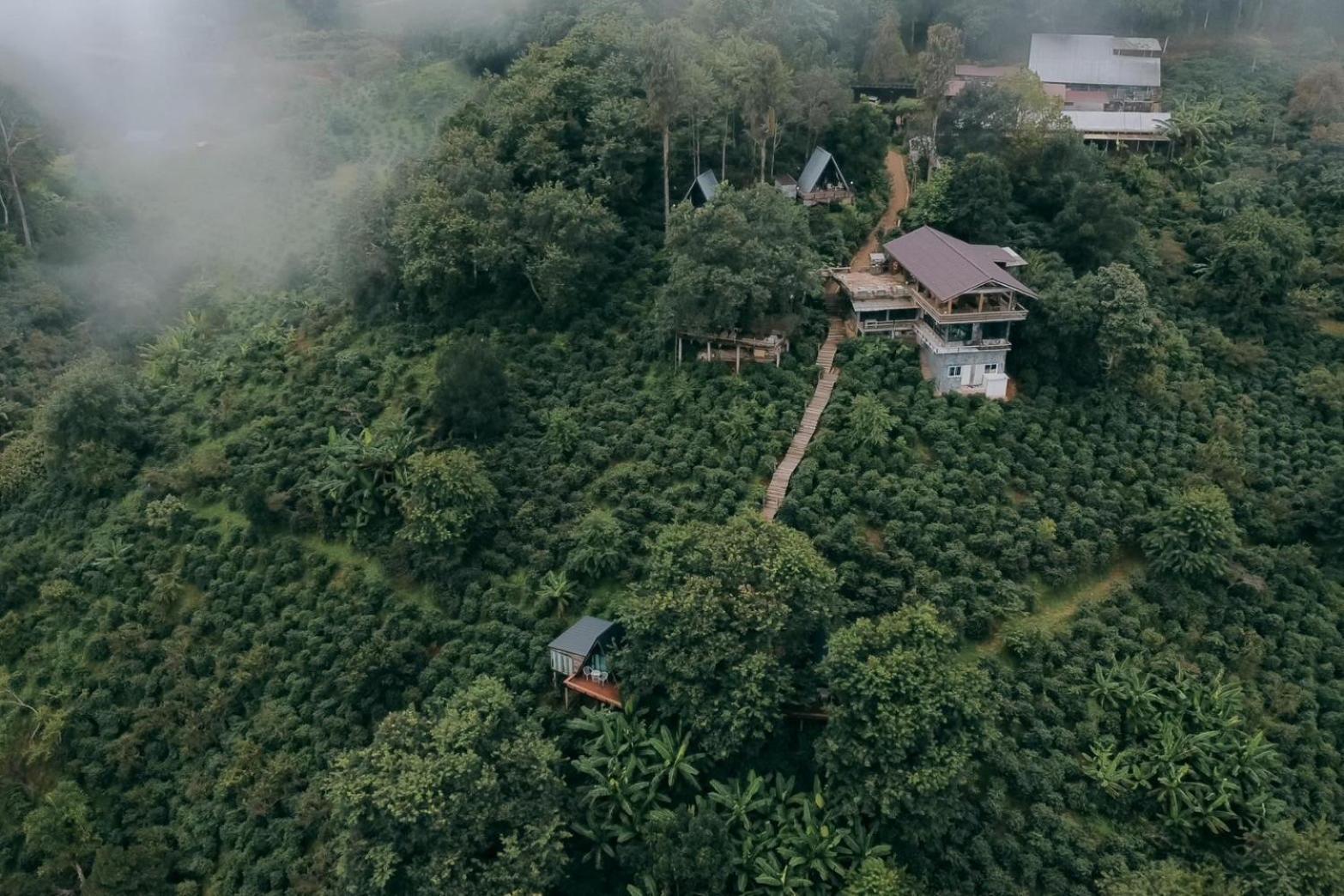 Farm stay Ma Family Coffee Farm ไร่กาแฟครอบครัวมะ Chiang Rai