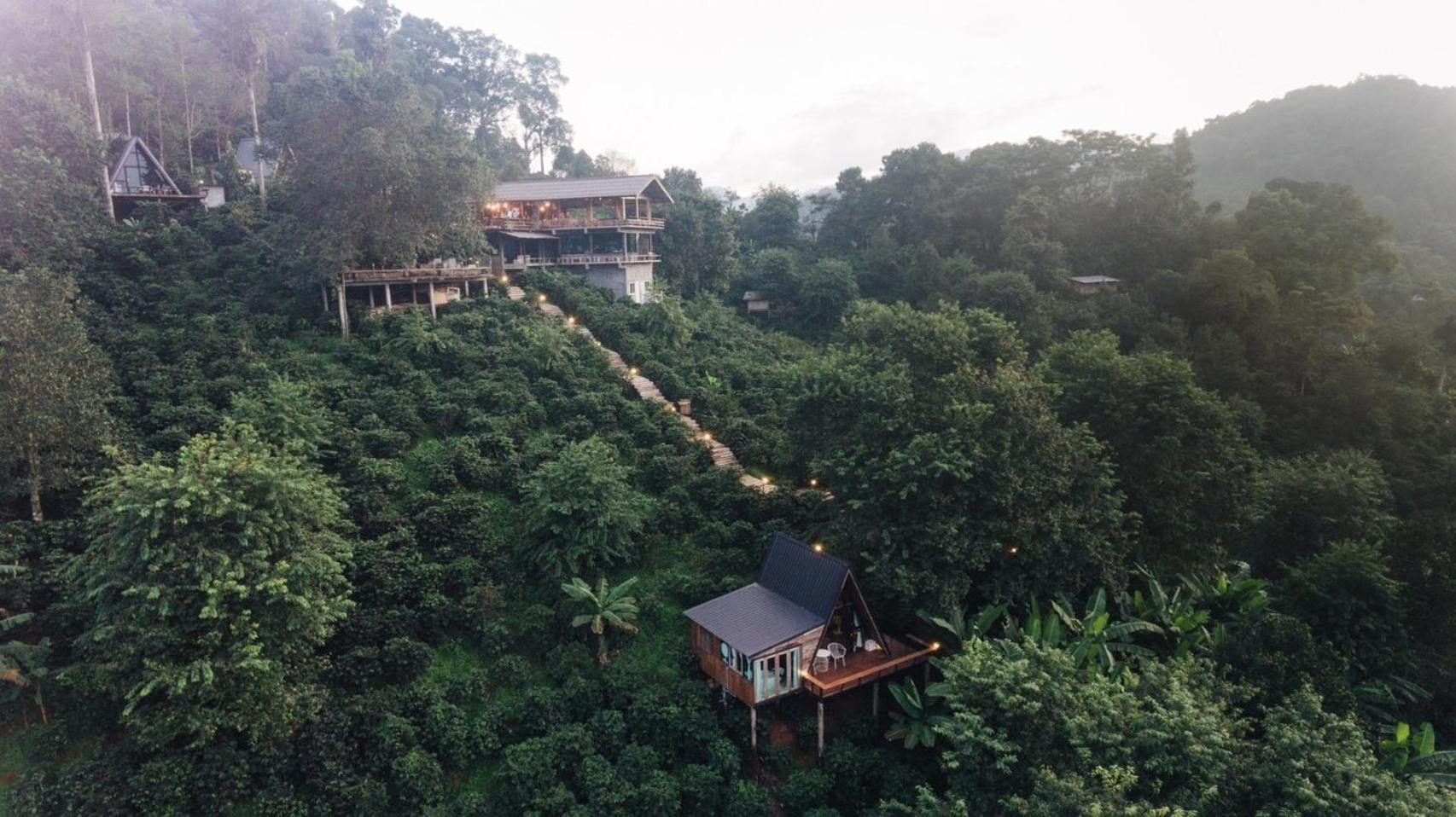 Ma Family Coffee Farm ไร่กาแฟครอบครัวมะ Farm stay Chiang Rai