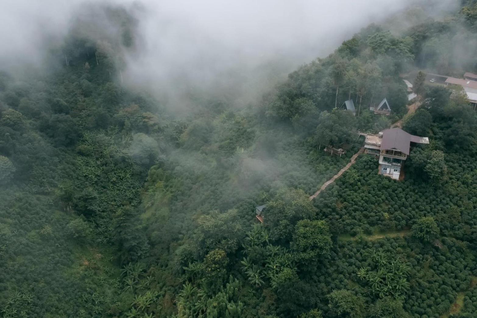 Farm stay Ma Family Coffee Farm ไร่กาแฟครอบครัวมะ