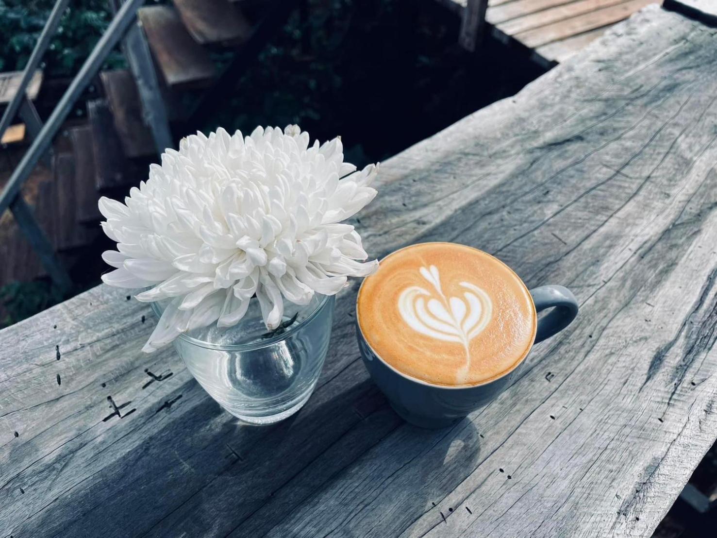 Ma Family Coffee Farm ไร่กาแฟครอบครัวมะ * Chiang Rai