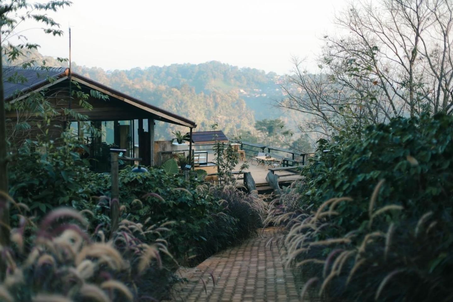 Farm stay Ma Family Coffee Farm ไร่กาแฟครอบครัวมะ Chiang Rai