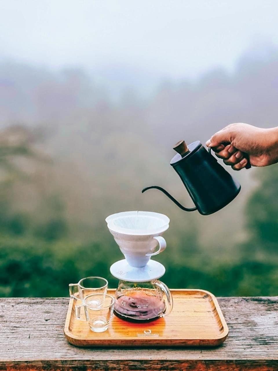 Ma Family Coffee Farm ไร่กาแฟครอบครัวมะ *