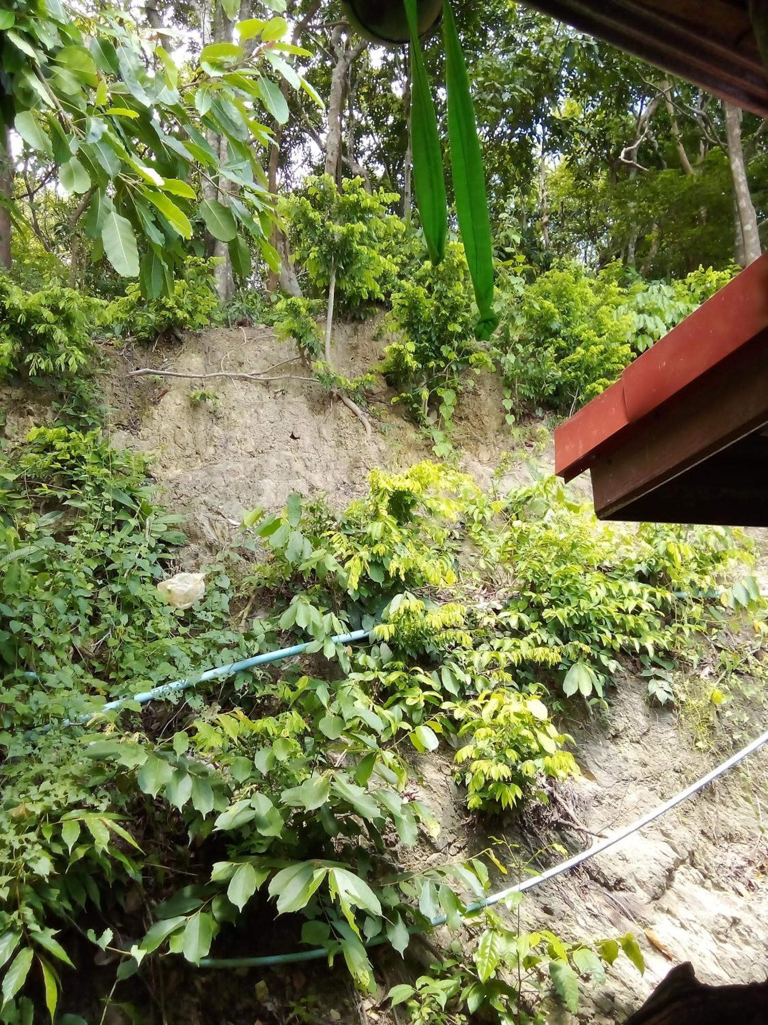 Inn The Rock Hut & House *