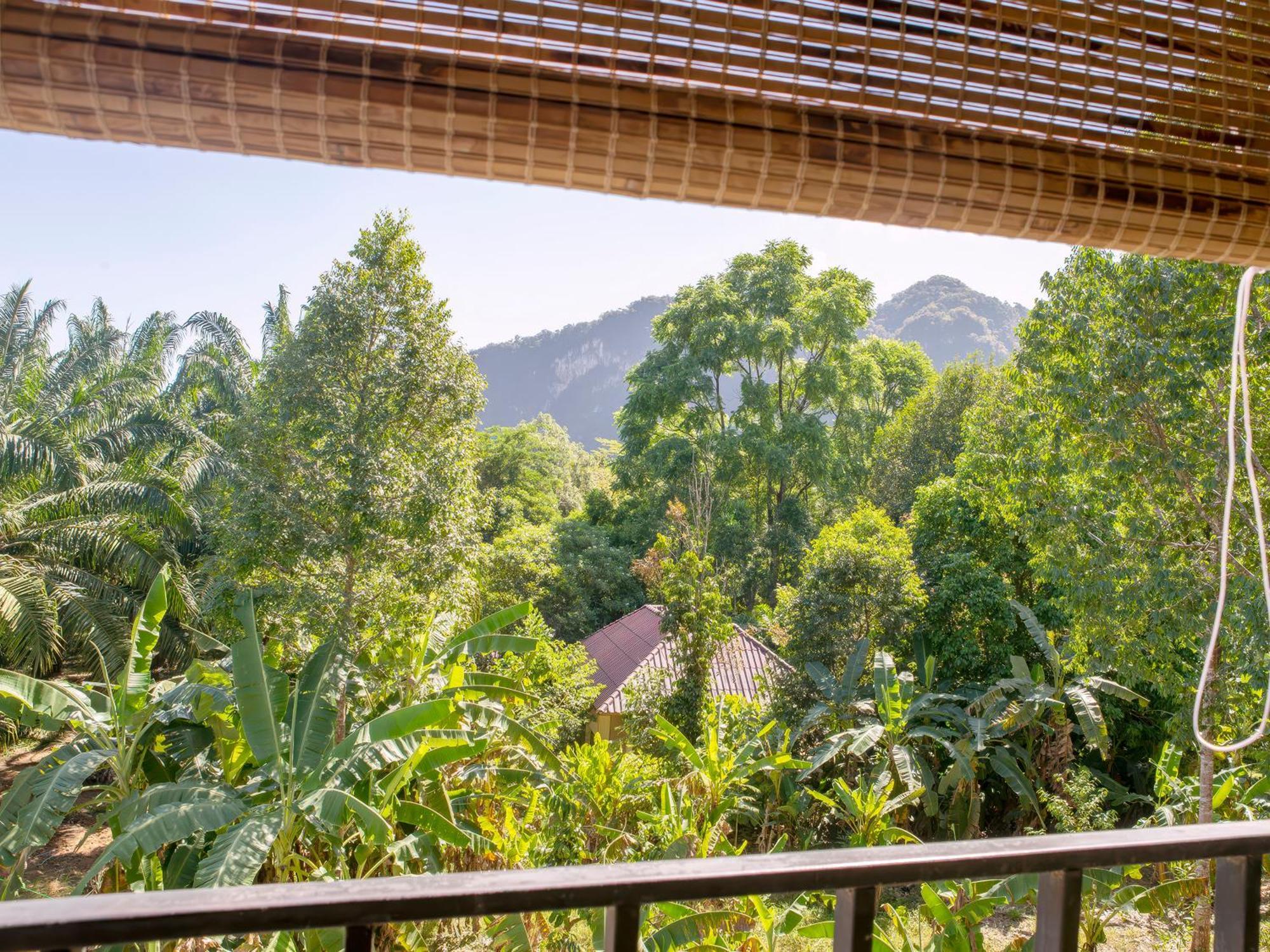 Coco Khao Sok Khao Sok National Park