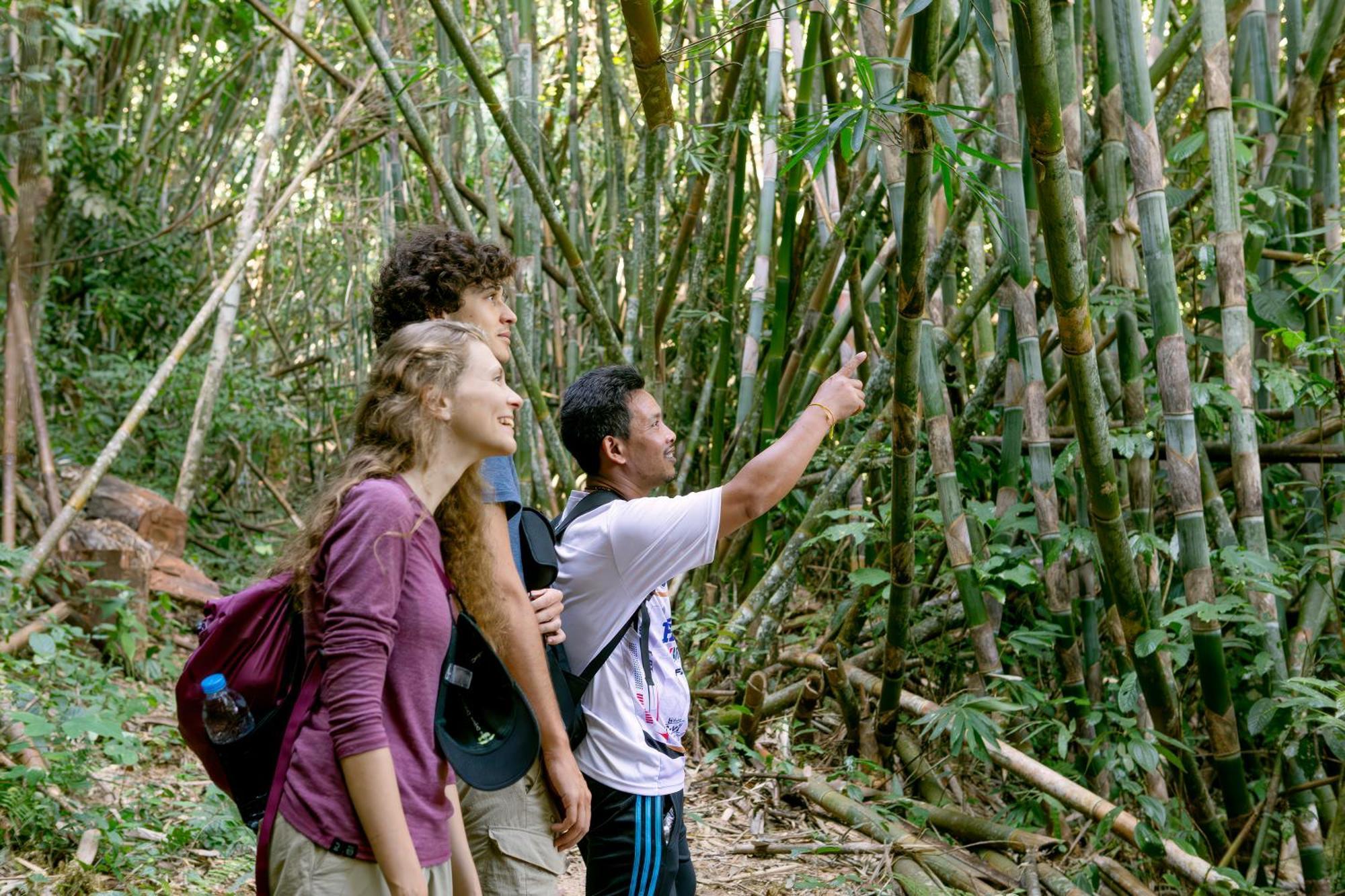 Coco Khao Sok Hostel *