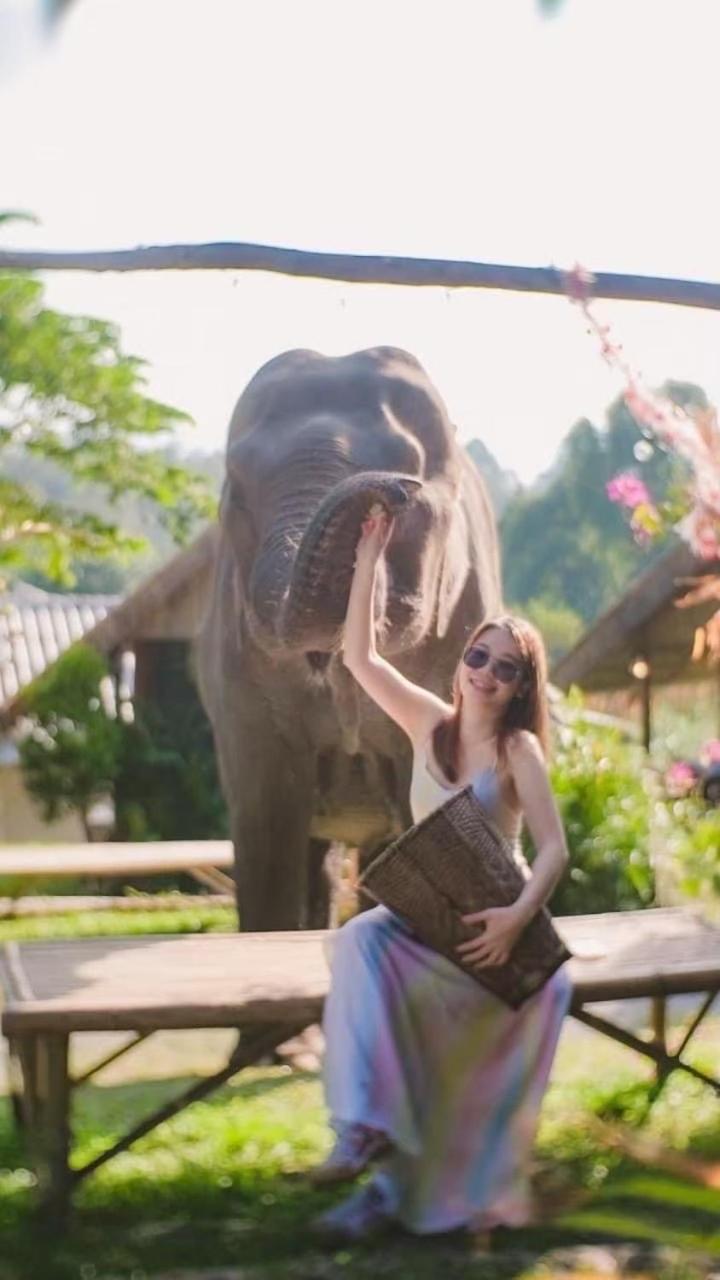 3 Pok Maewang Jinxiang Gold Elephant Park Mae Wang