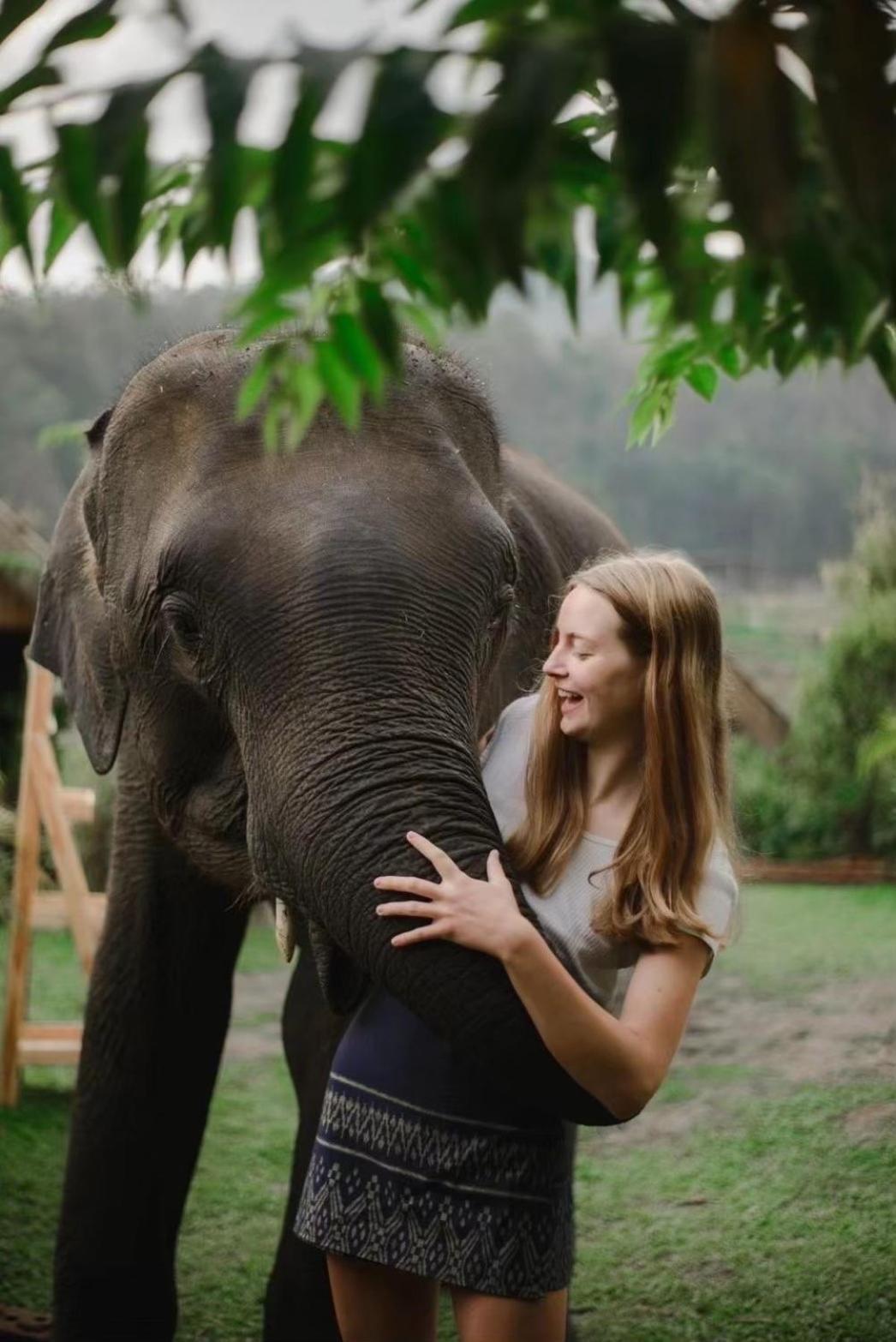 3 Pok Maewang Jinxiang Gold Elephant Park Homestay