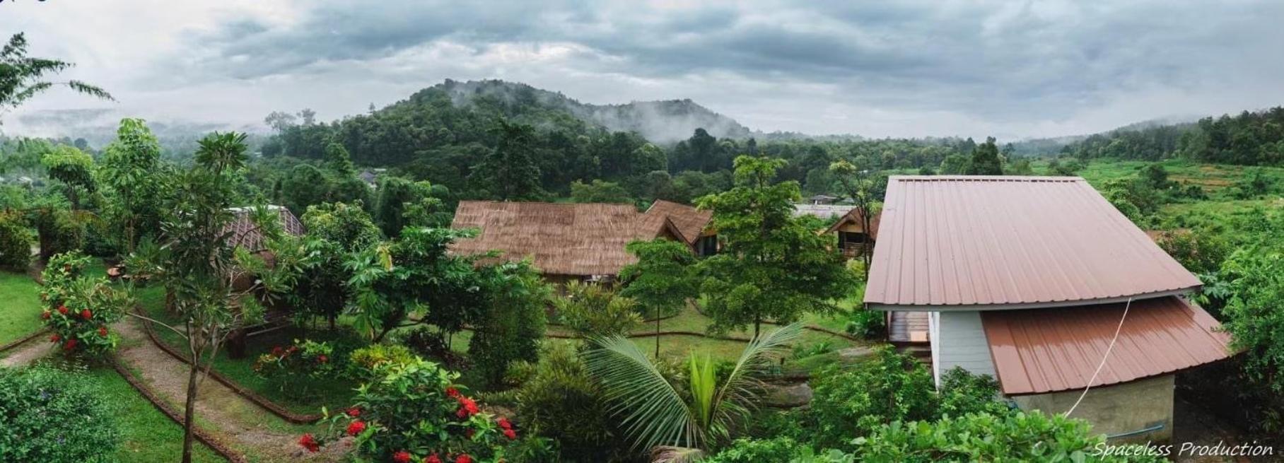 3 Pok Maewang Jinxiang Gold Elephant Park Homestay