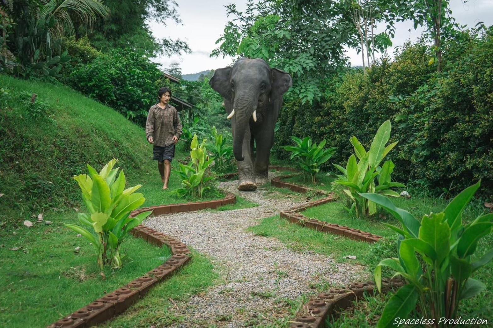 3 Pok Maewang Jinxiang Gold Elephant Park Homestay *