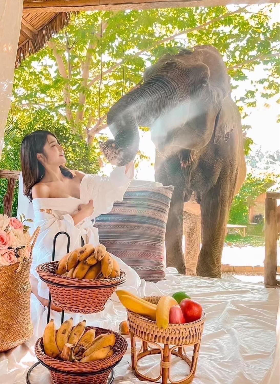 Homestay 3 Pok Maewang Jinxiang Gold Elephant Park *
