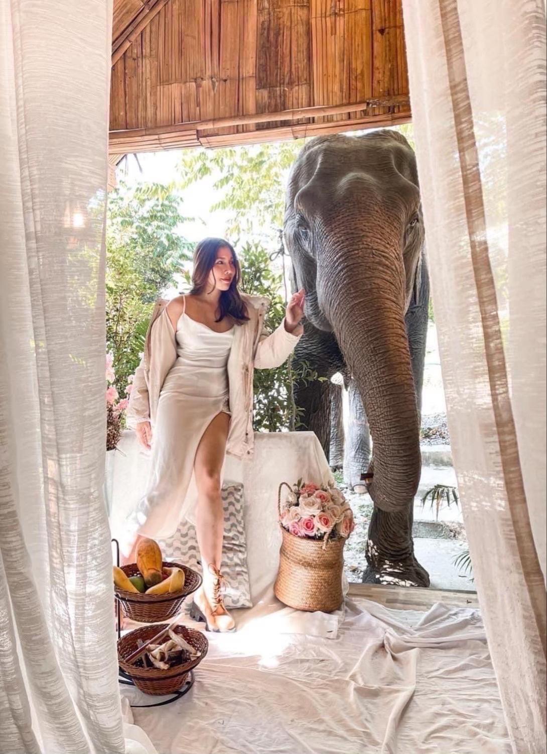 Homestay 3 Pok Maewang Jinxiang Gold Elephant Park Mae Wang