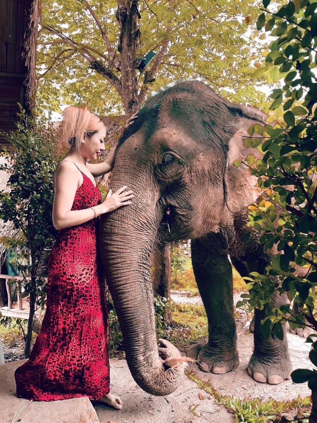 3 Pok Maewang Jinxiang Gold Elephant Park *