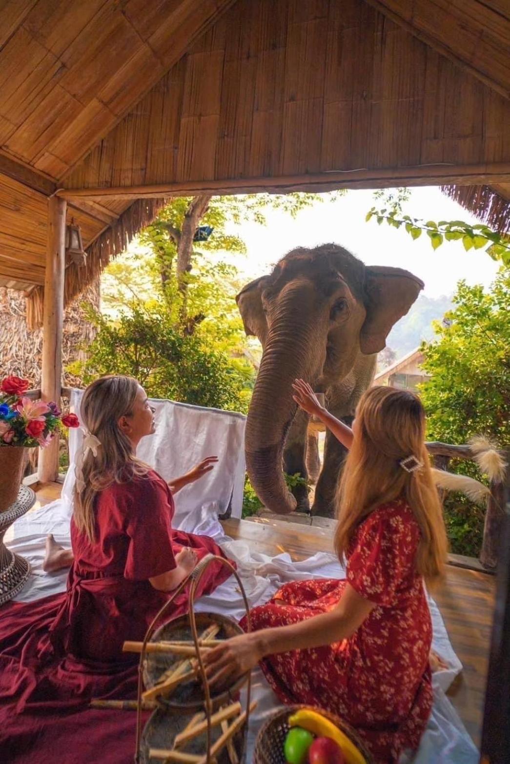 Homestay 3 Pok Maewang Jinxiang Gold Elephant Park Mae Wang