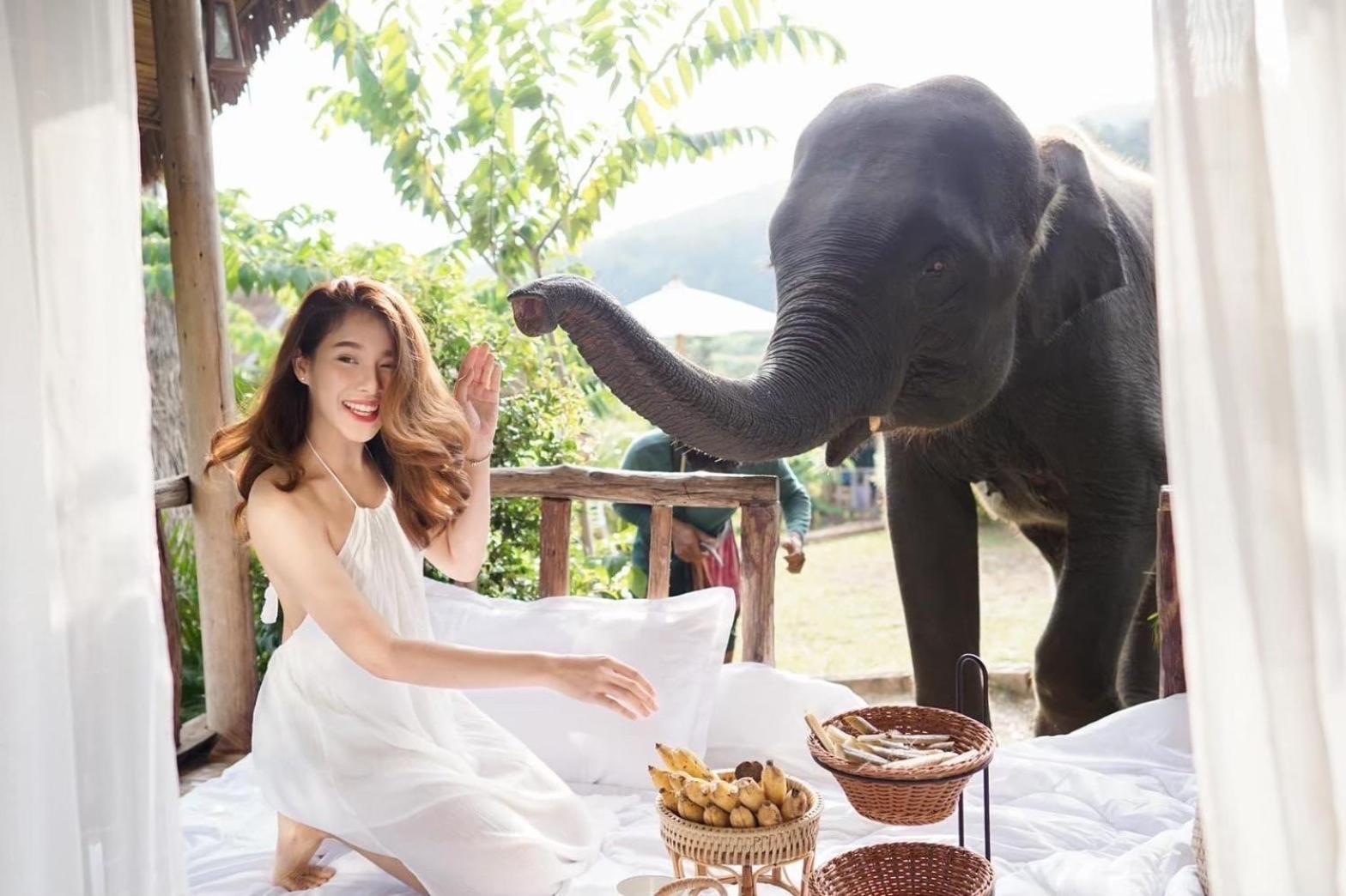 3 Pok Maewang Jinxiang Gold Elephant Park Homestay *