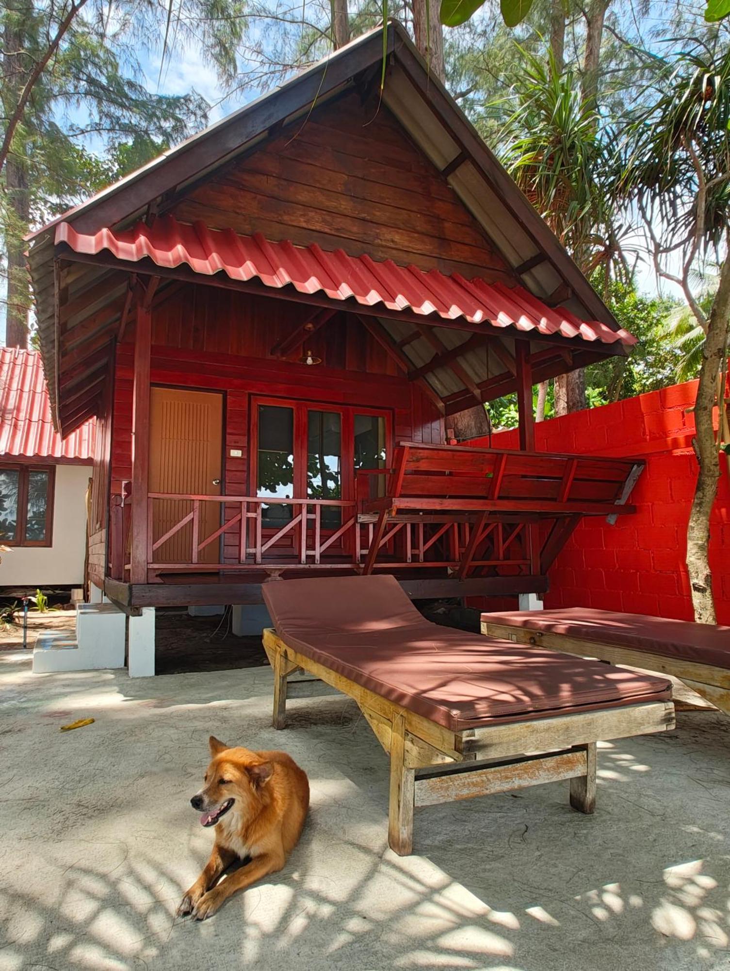 Ziggy Stardust Resort Koh Phayam