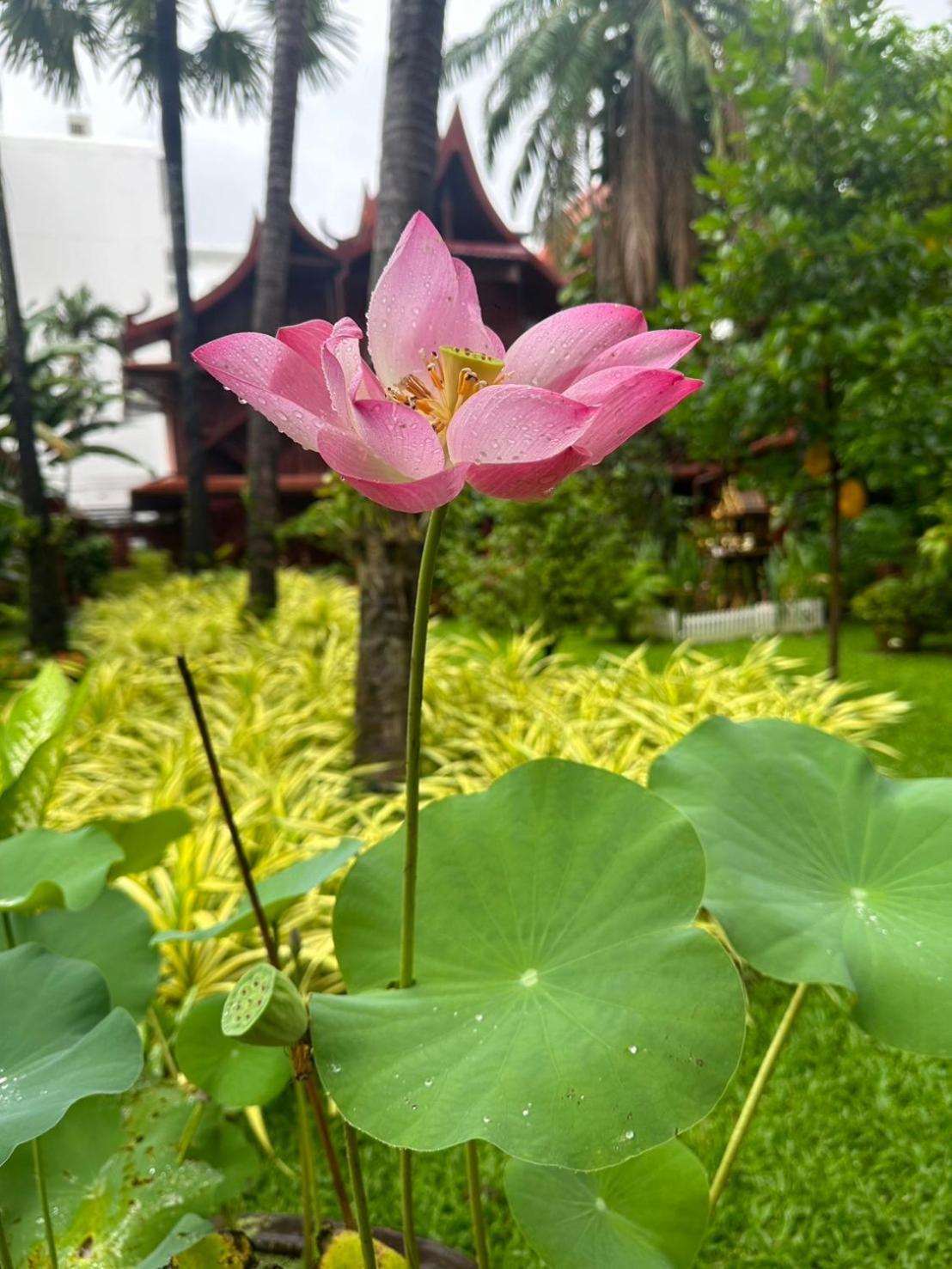 Royal Phawadee Village - 2 Minutes Walk To The Patong