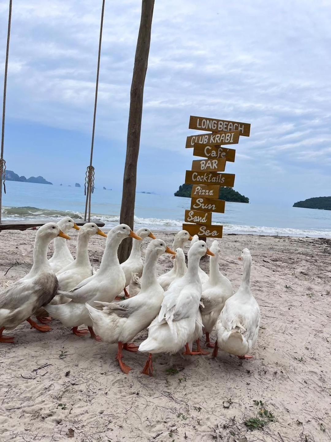 Long Club Krabi Ao Nang