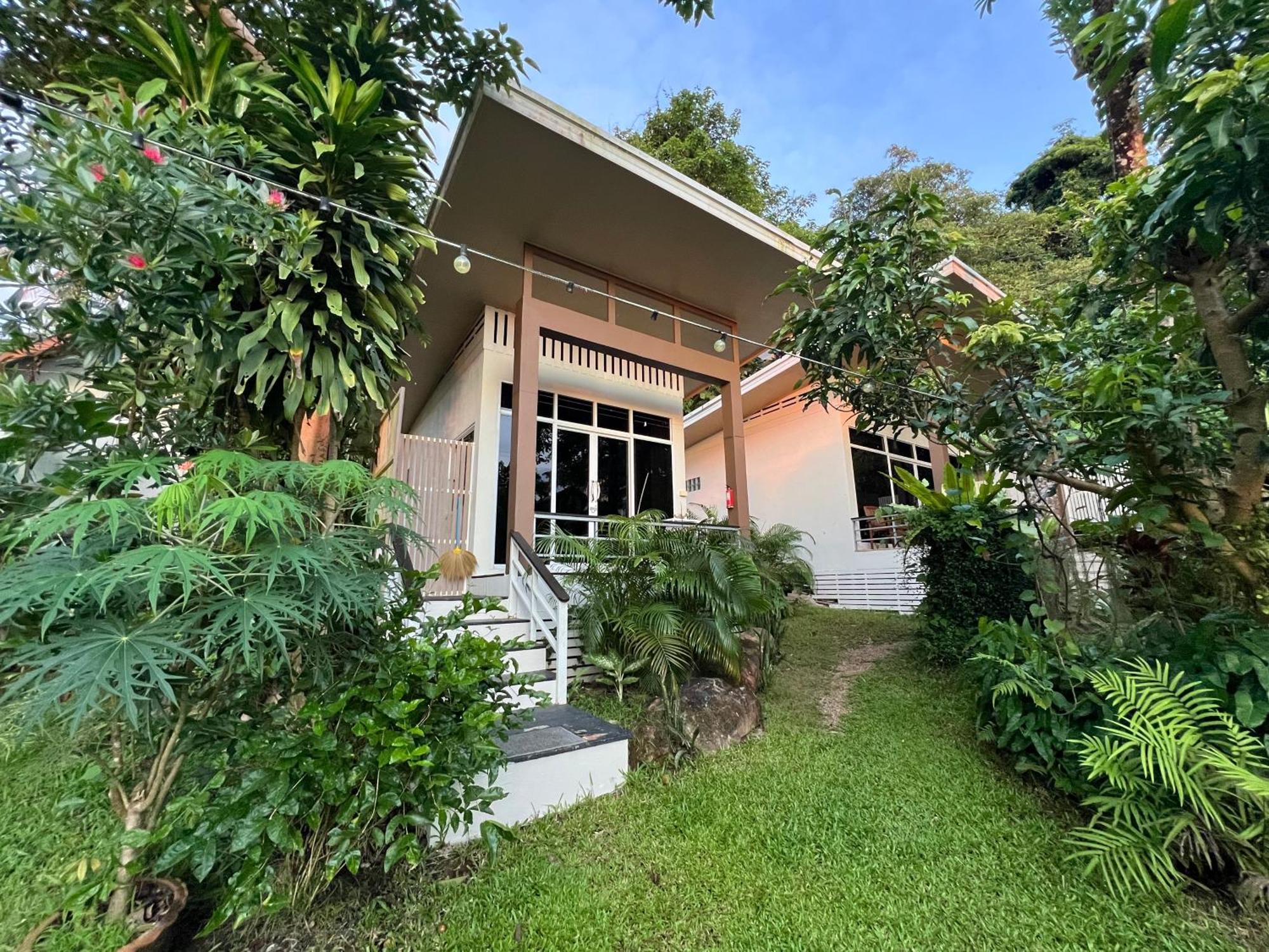 Guest house Jungle